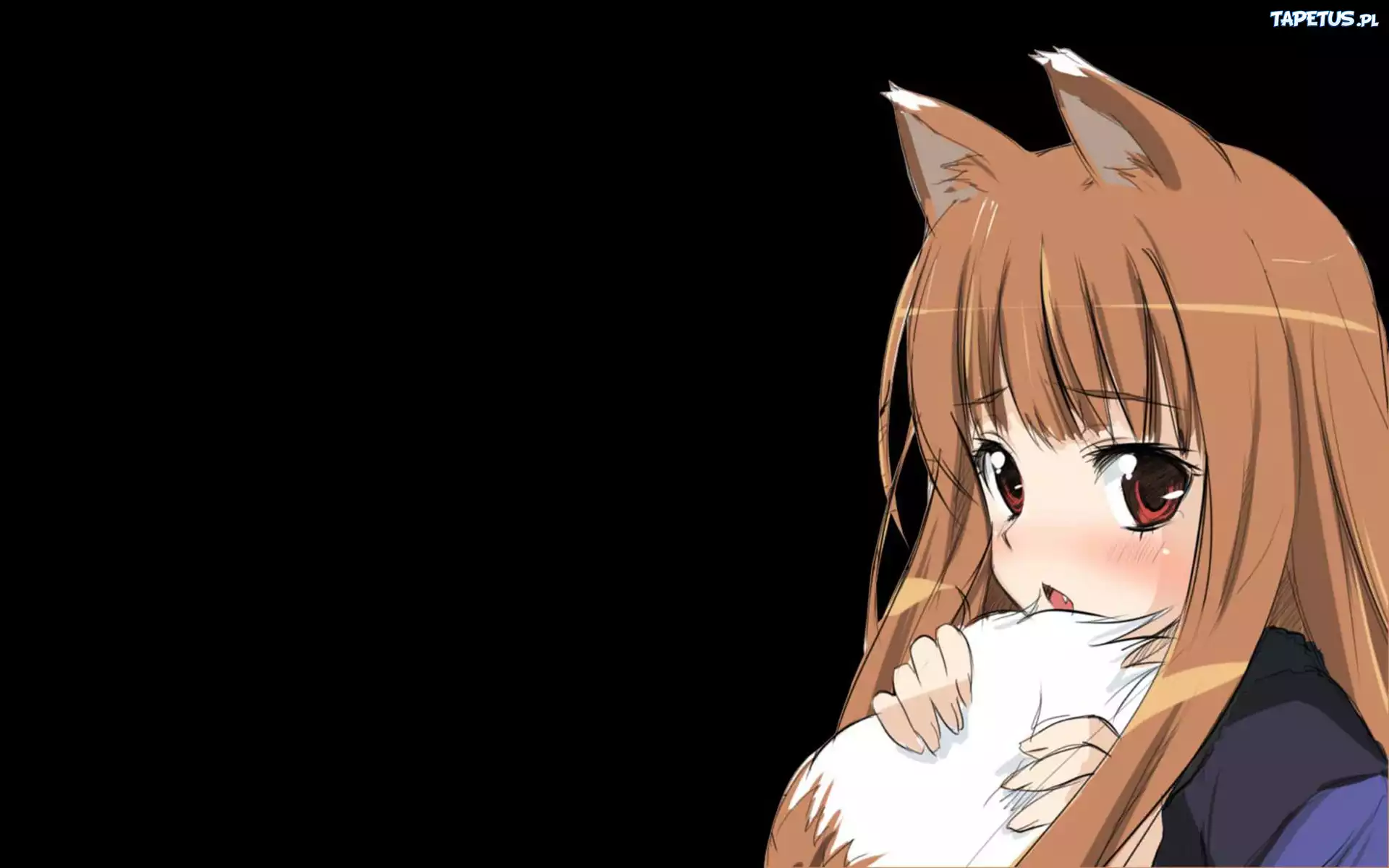 Postać, Spice and Wolf