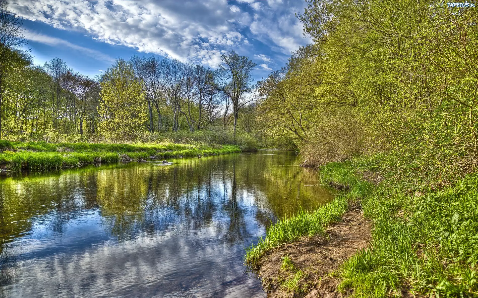 Brzegi, Rzeka, Drzewa, Chmury, Odbicie