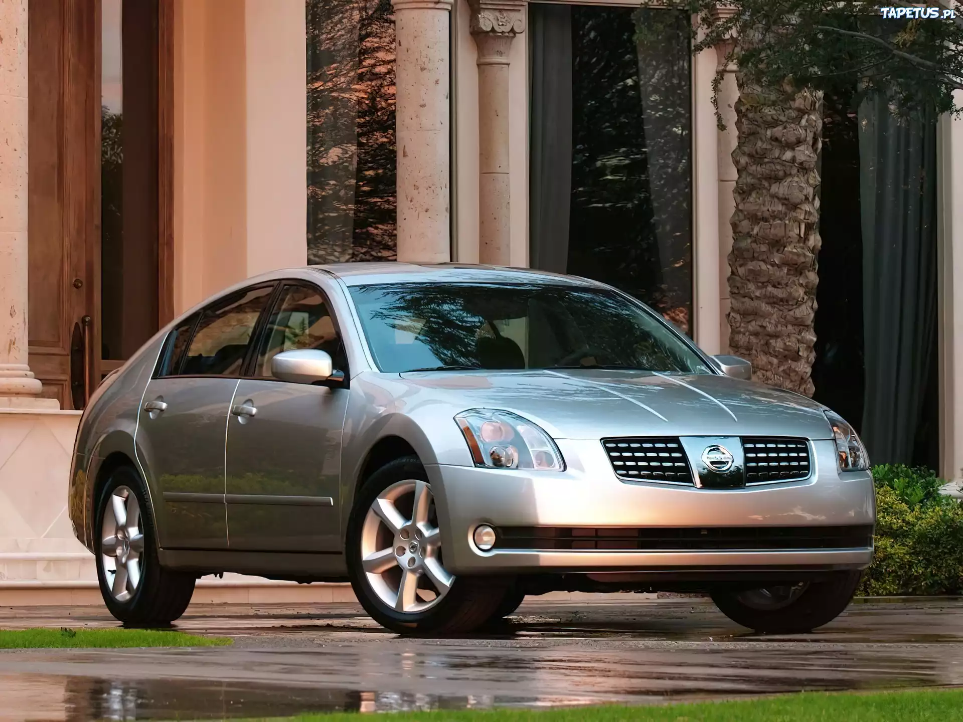 Nissan Maxima, Srebrny Metalik