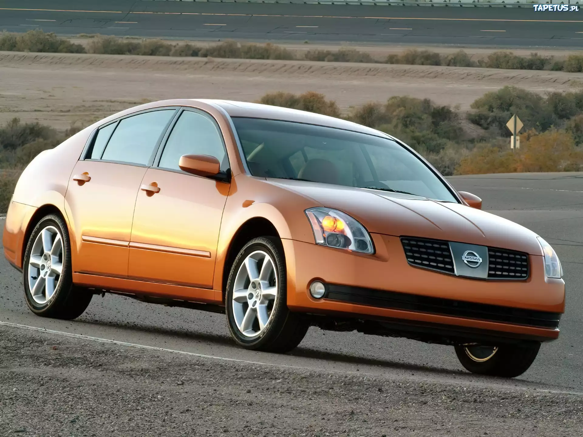 Nissan Maxima