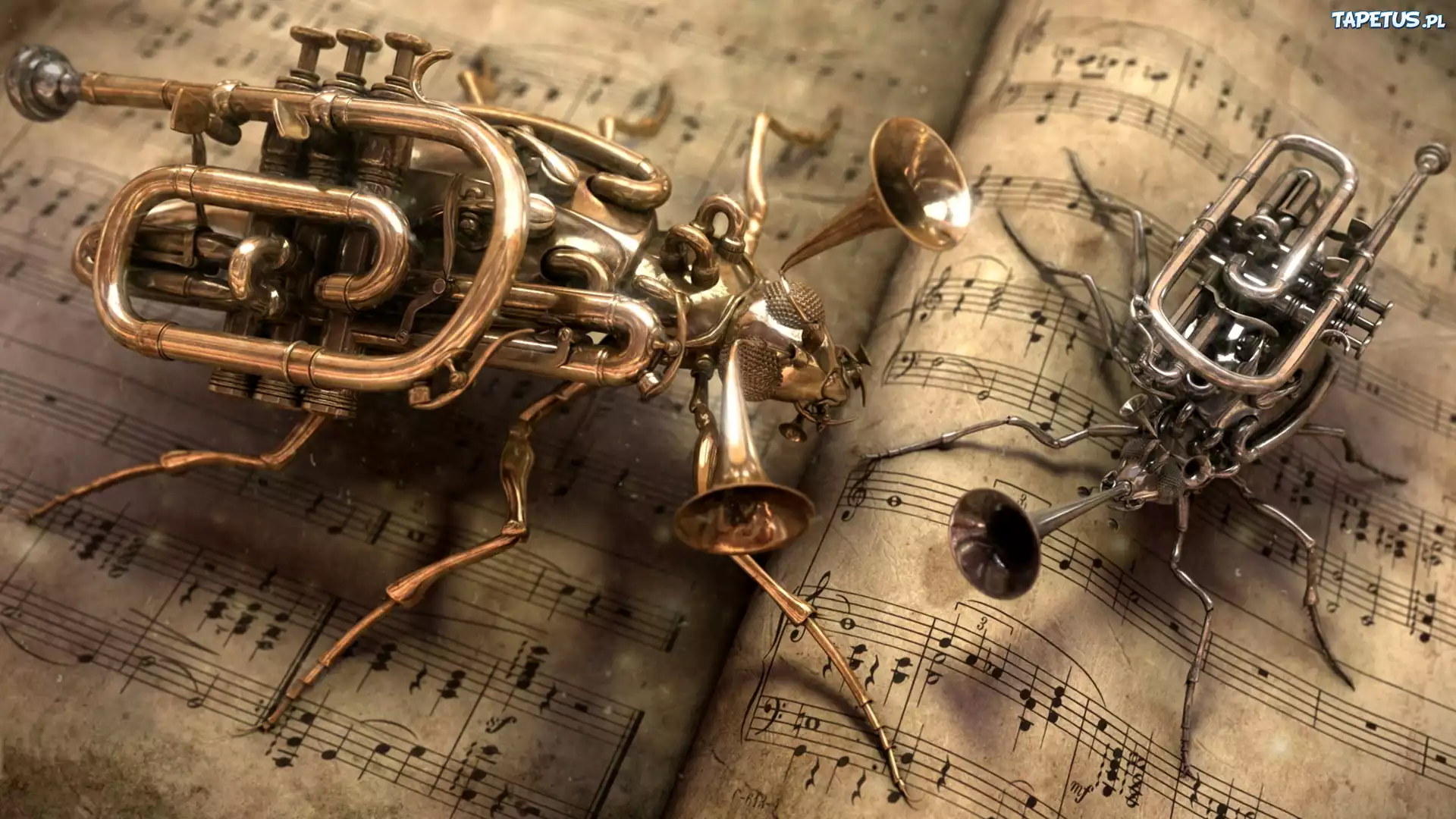 Nuty, Insekty, Instrumenty, Muzyczne