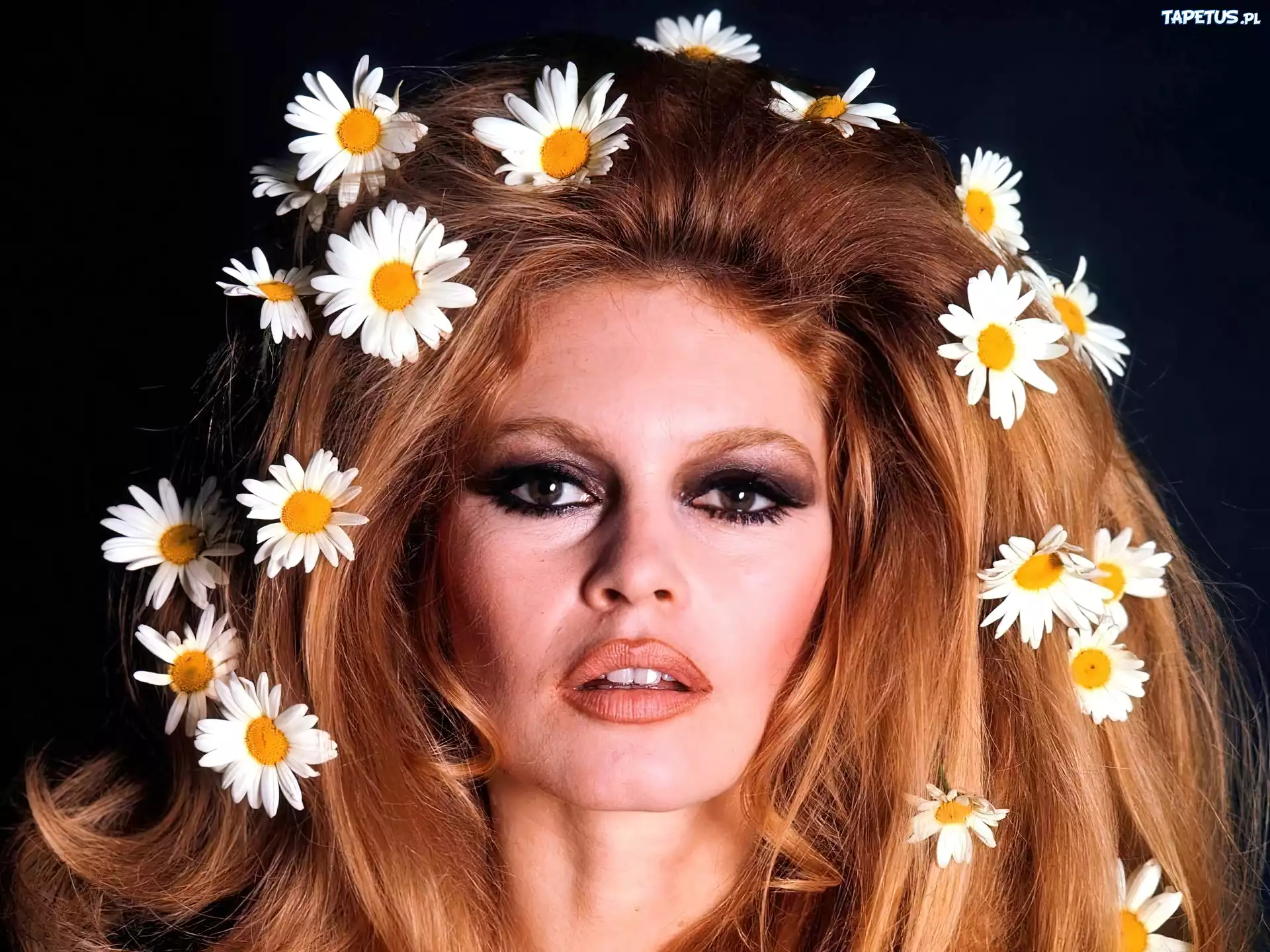 Kobieta, Brigitte Bardot, Stokrotki