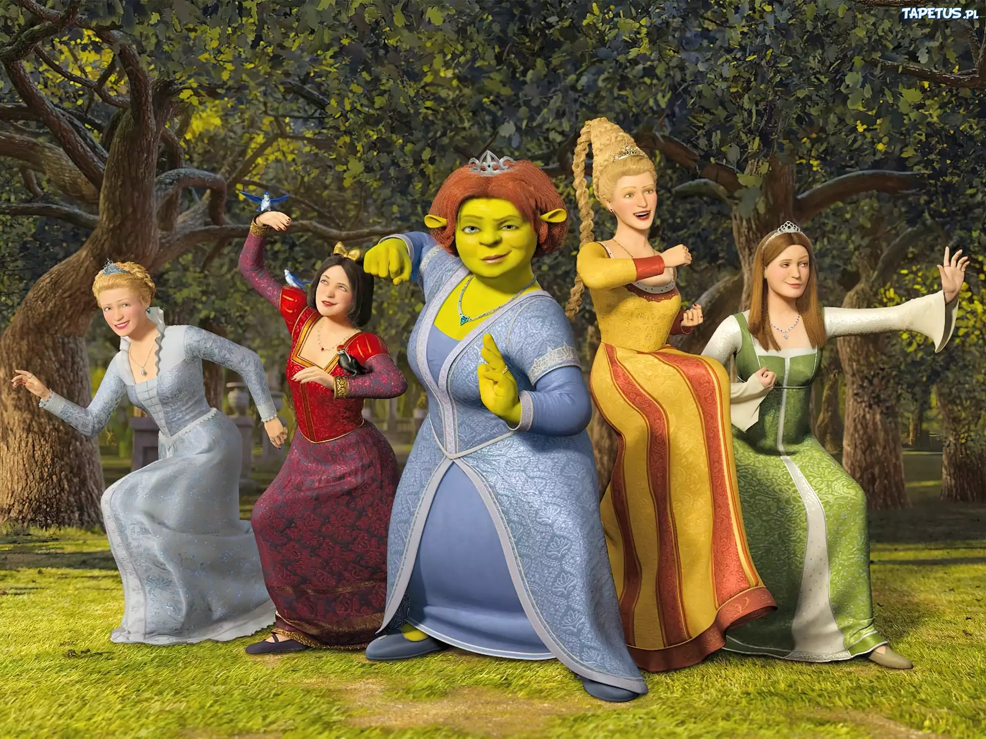 Shrek, Fiona, Królewny
