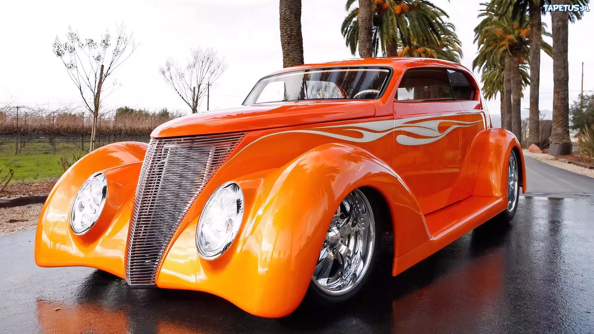 Ford Freamsicle, Droga, Palmy