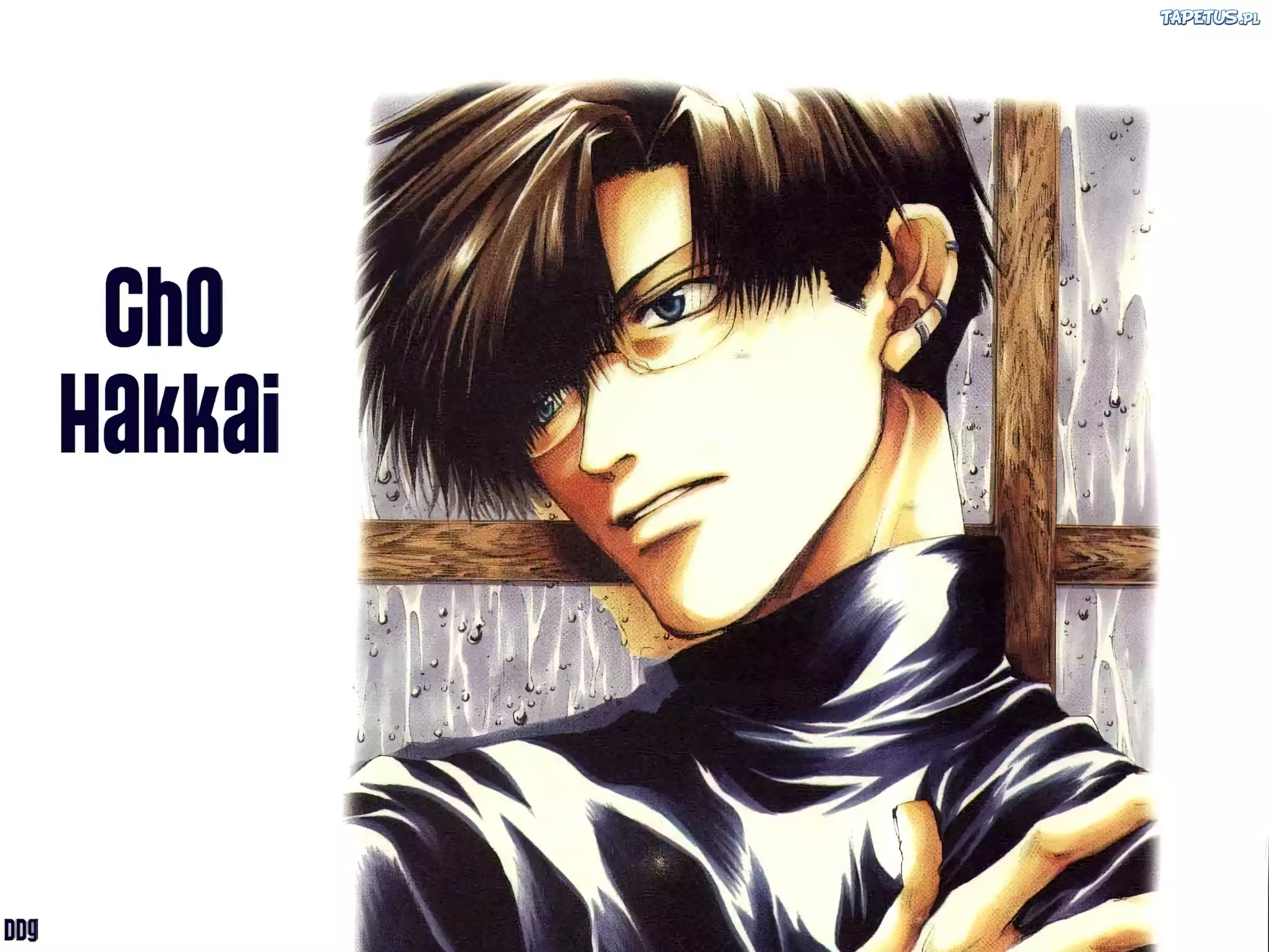Saiyuki, cho, hakkai, facet
