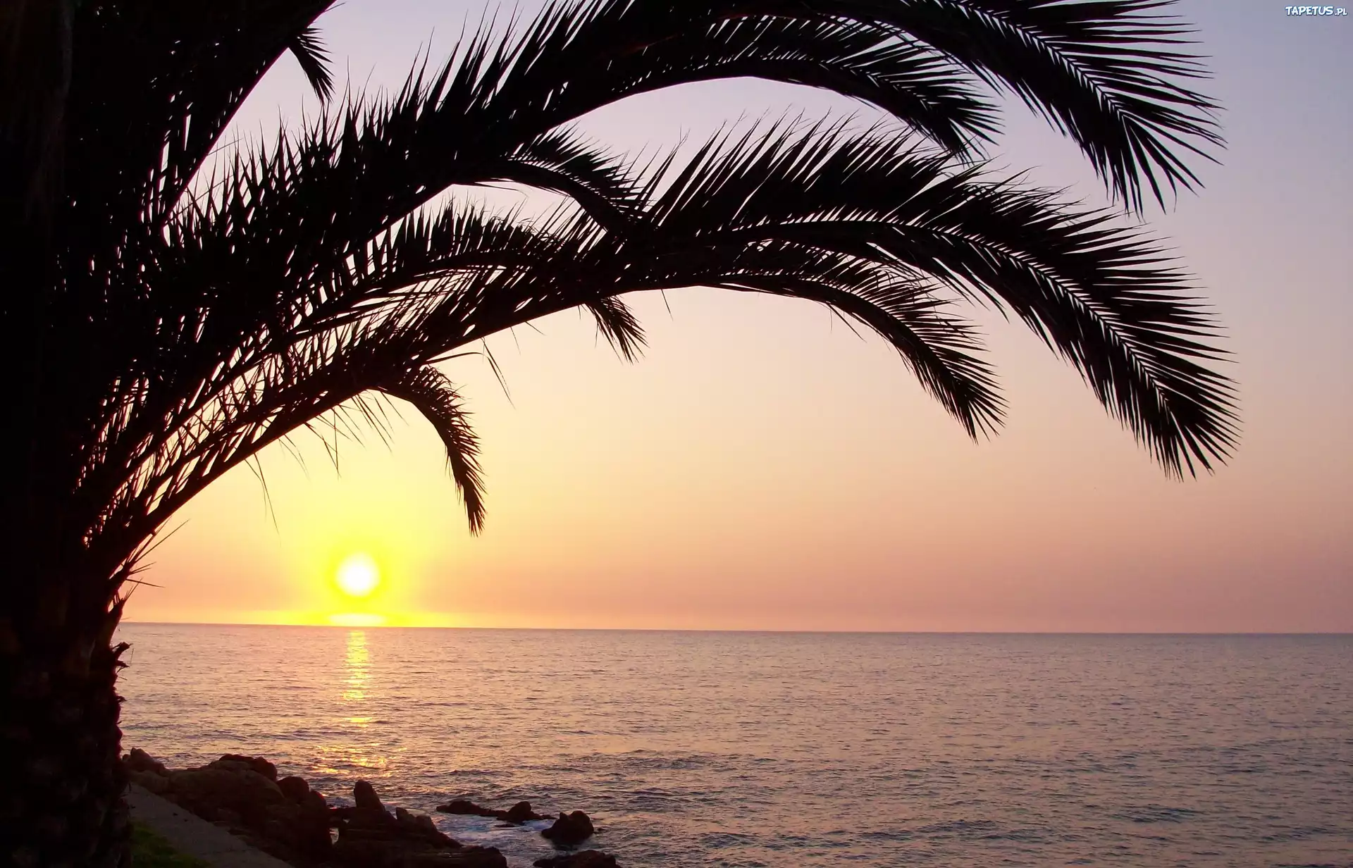 Zachod, Słońca, Ocean, Palma