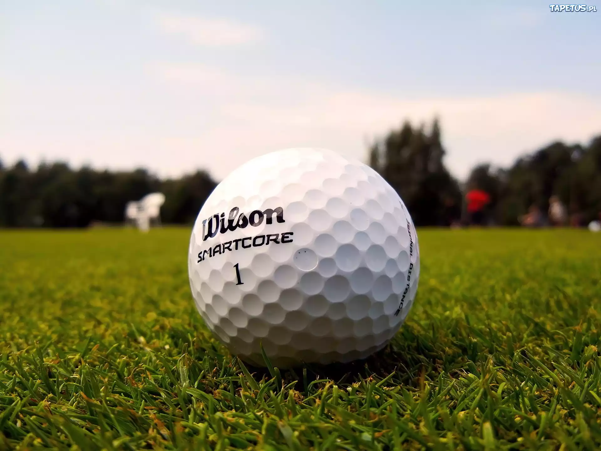 спорт sports гольф Golf без смс