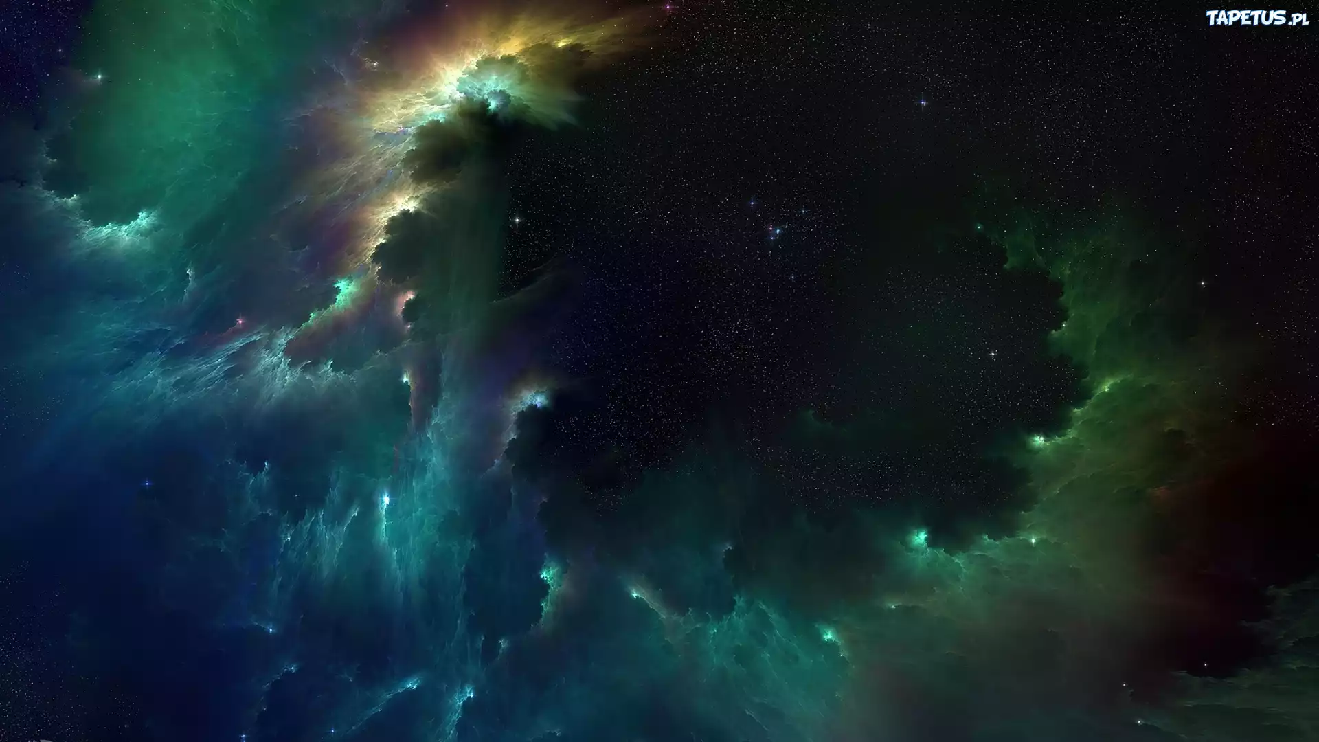 Kosmos, Gwiazdy