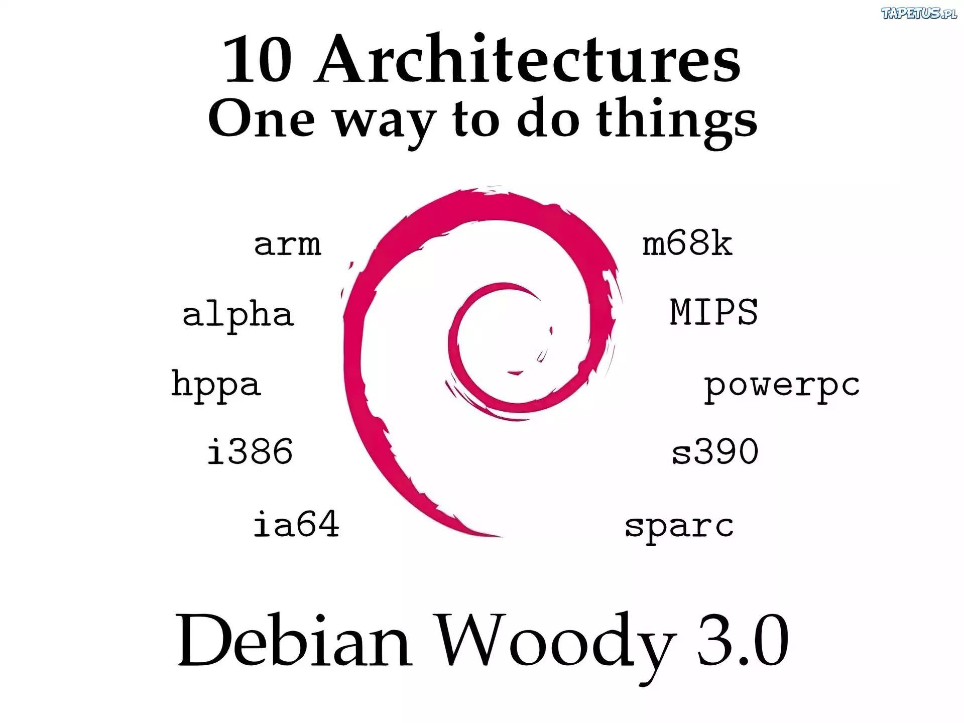 muszla, ślimak, zawijas, Linux Debian
