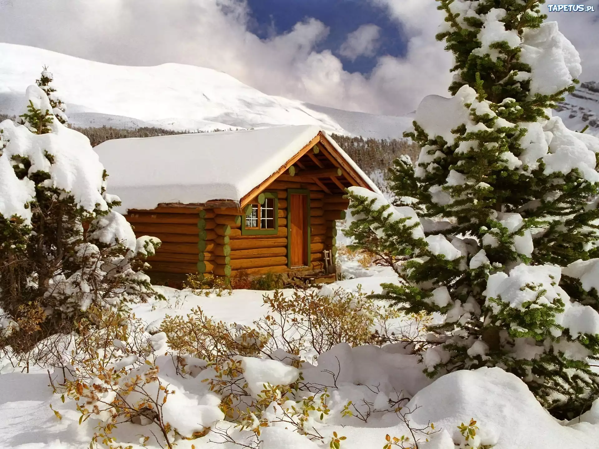 Деревянный дом снег. Домик в зимнем лесу. Домик в снегу. Зимняя избушка. Зима избушка.