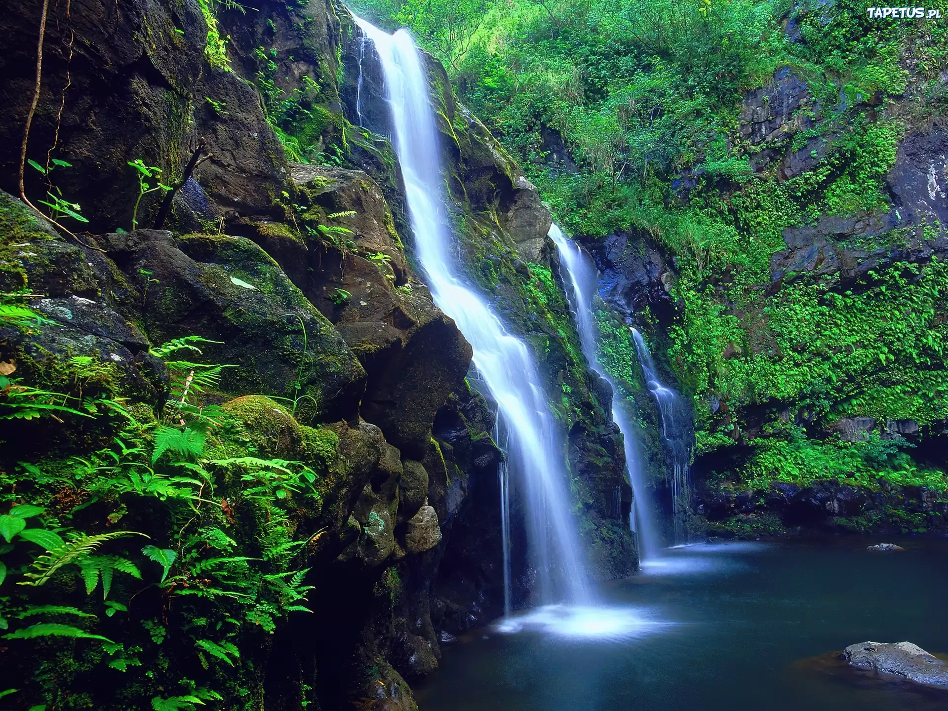 Wodospad, Maui, Hawaje