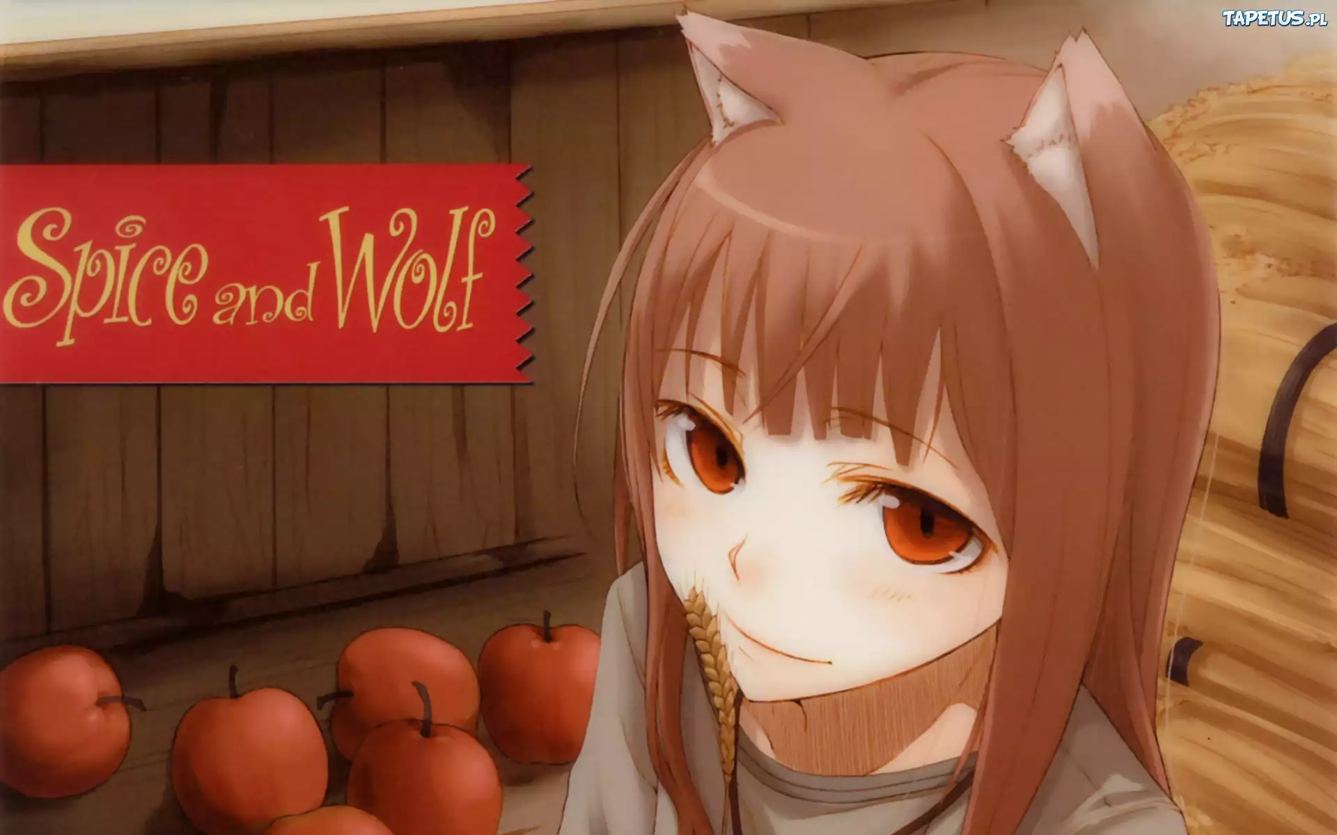 Spice and Wolf