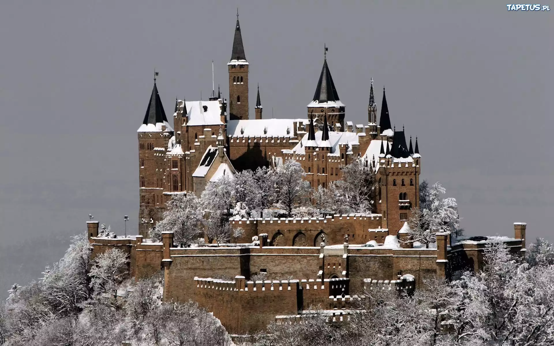 Zamek, Hohenzollern