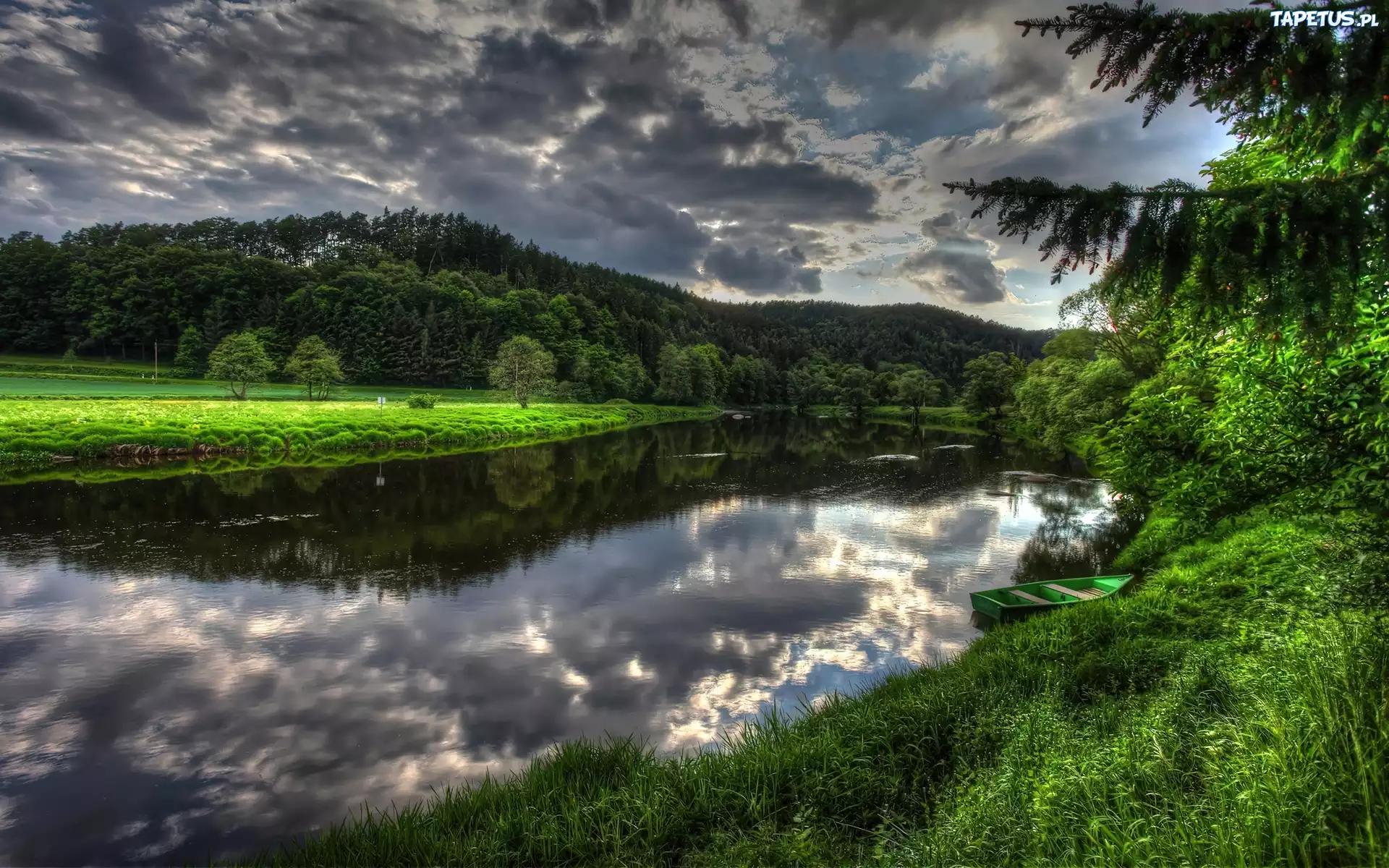 Drzewa, Jezioro