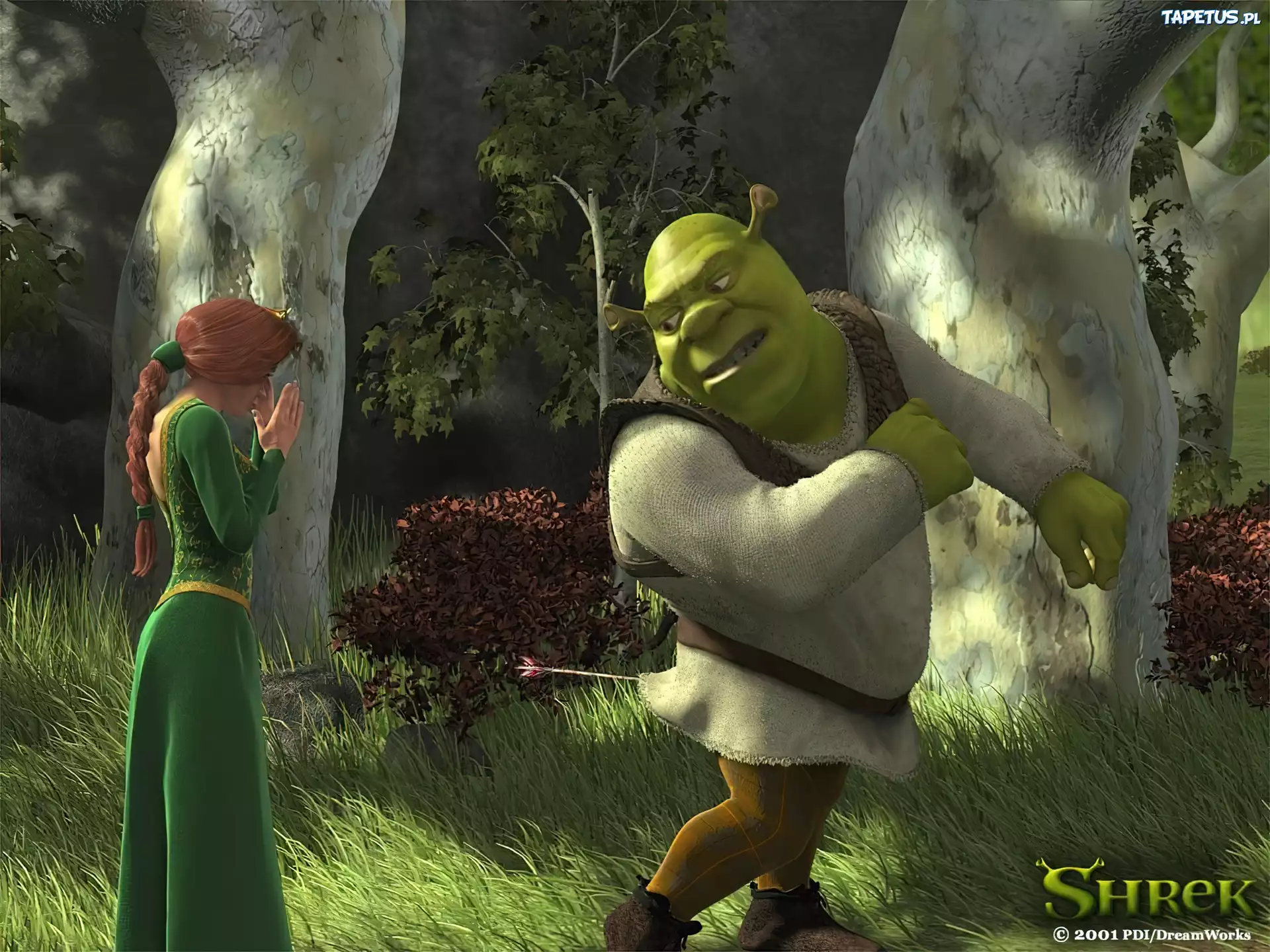 Shrek 1, Fiona, ogr, drzewa