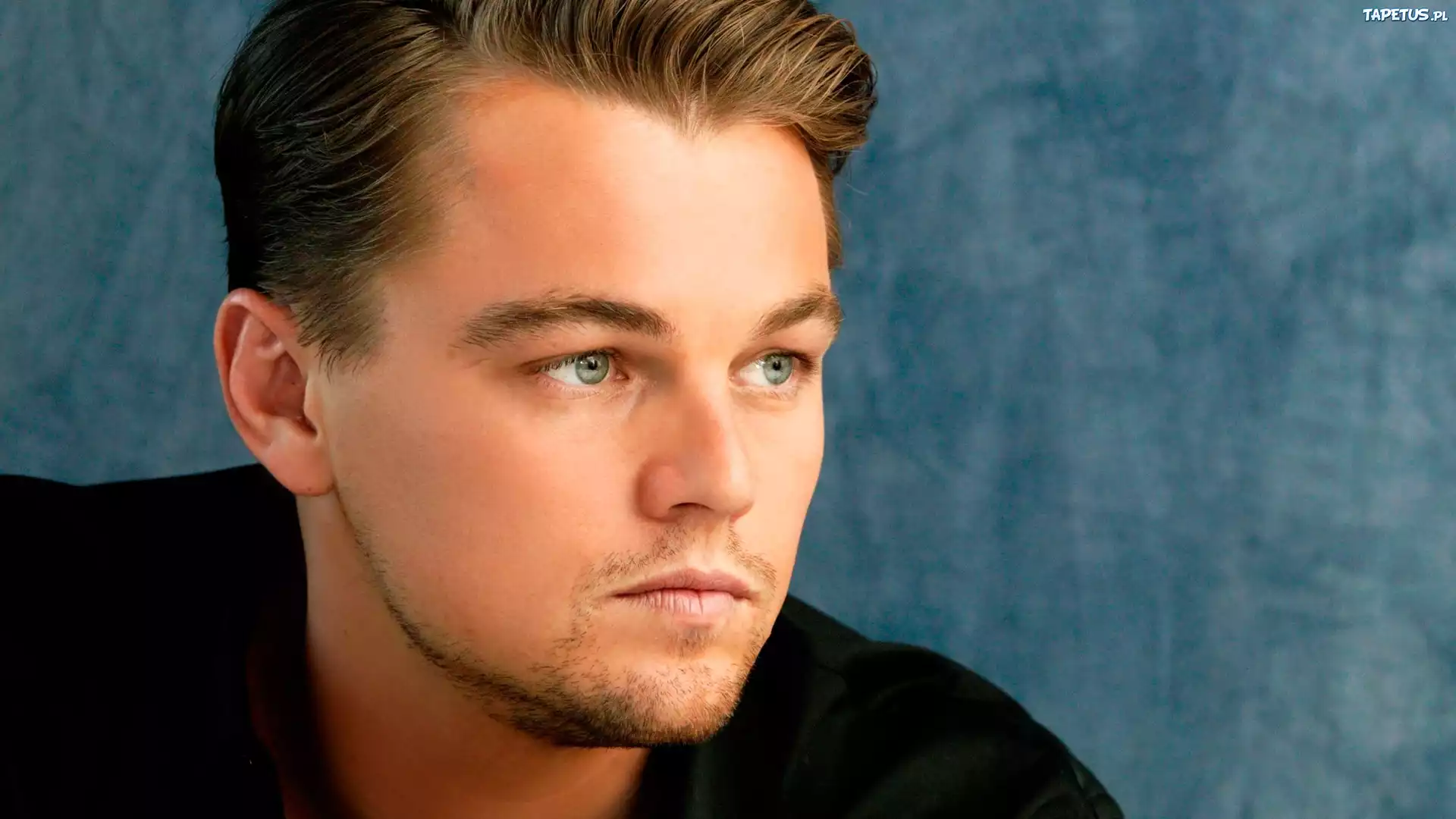 Leonardo DiCaprio, Aktor, Czarna, Koszula, Zarost