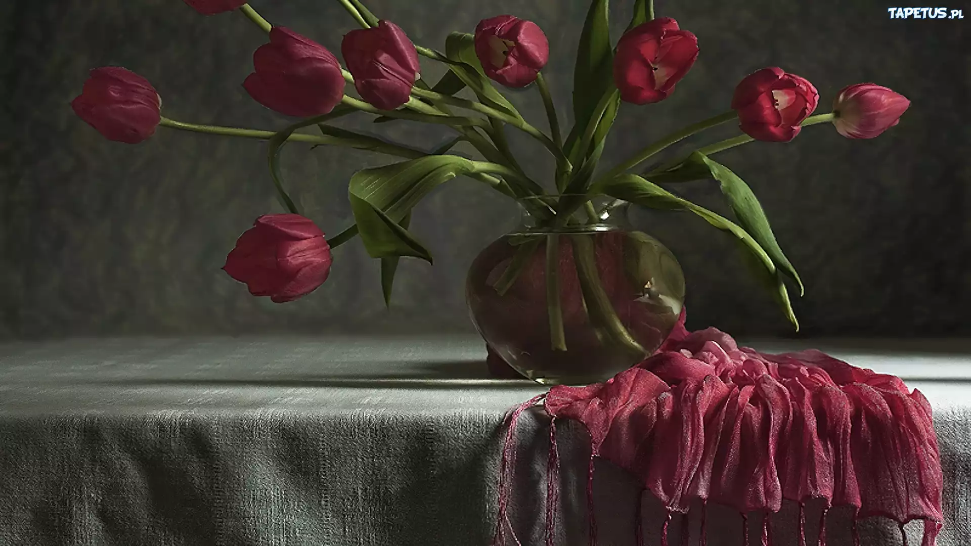 Bordowe, Tulipany, Szal