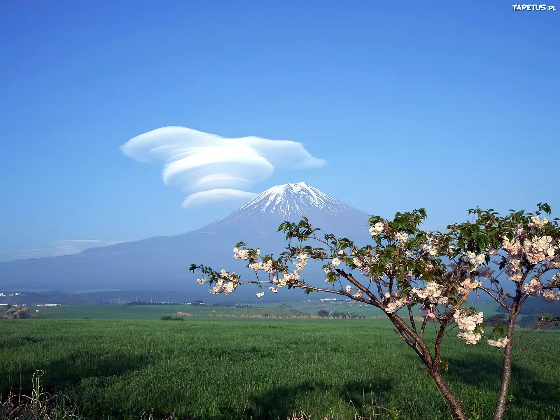 Góra, Fuji, Fantazyjna, Chmura