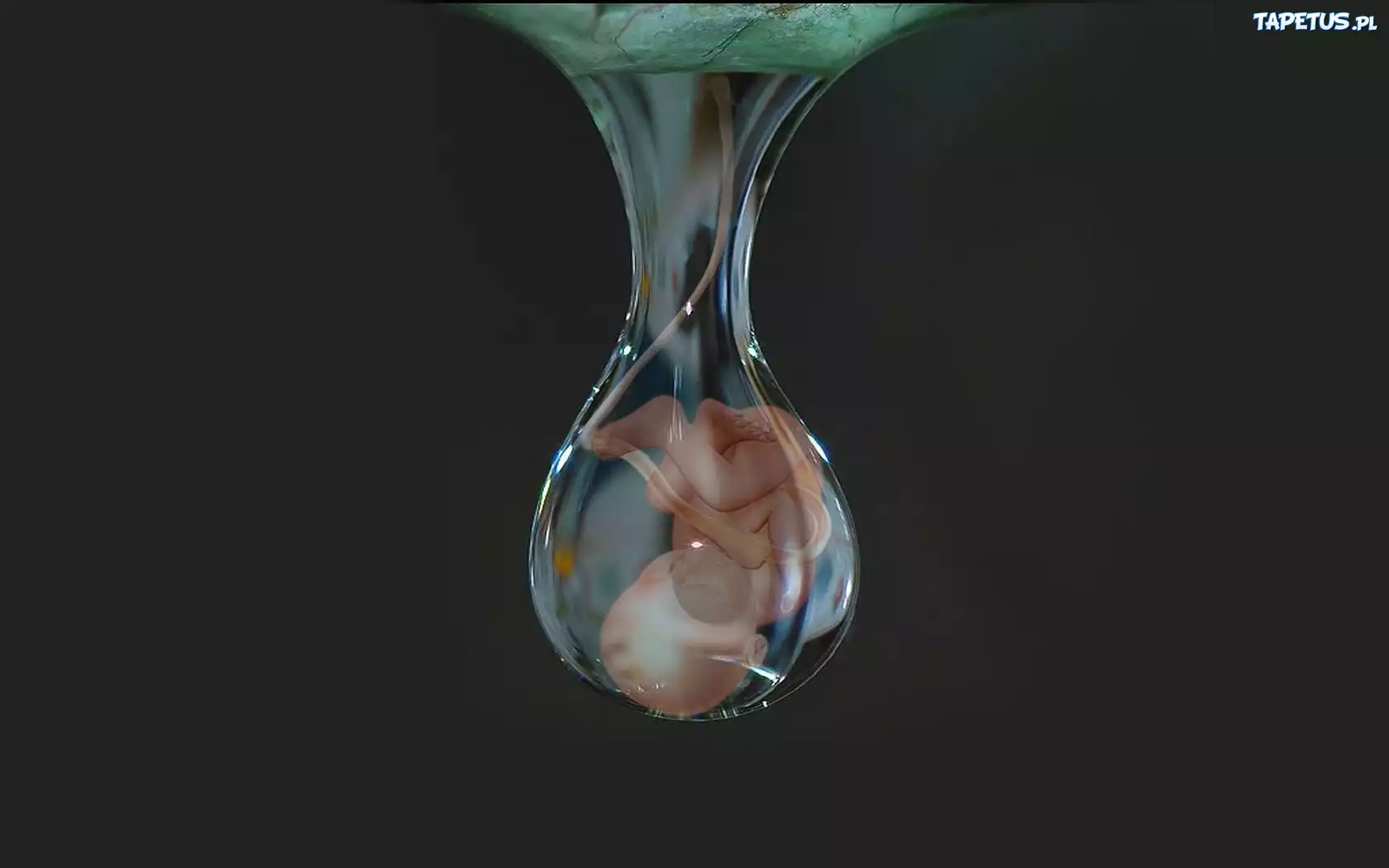 Kropla, Życia, Dziecko