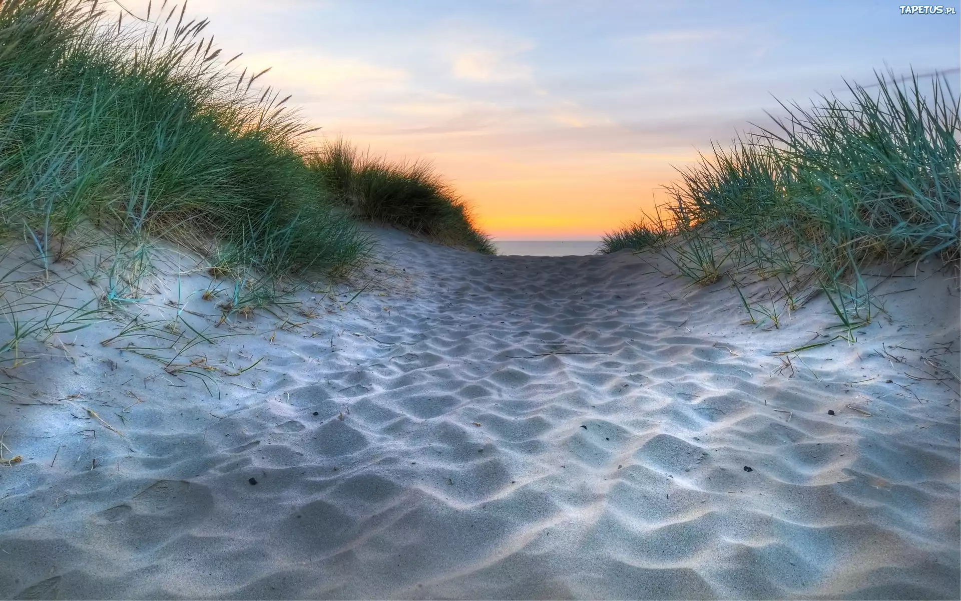 Niebo, Plaża, Morska, Trawa