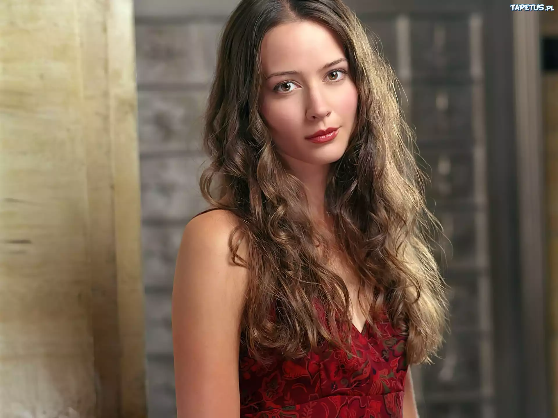 Amy Acker, Aktorka, Czerwona, Bluzka
