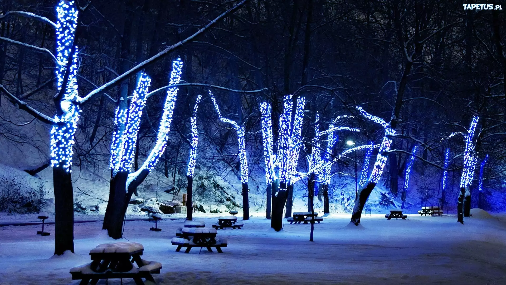 Zima, Park, Noc, Światełka