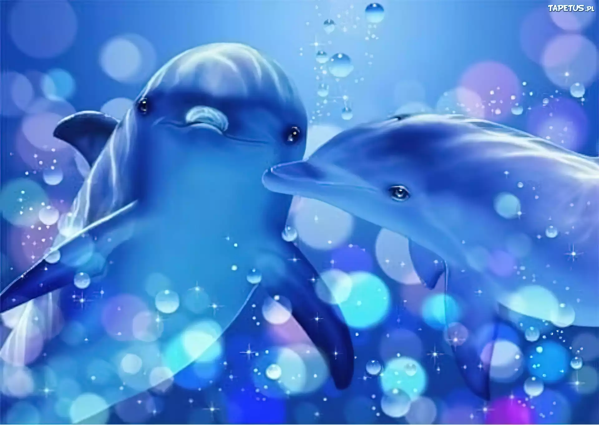 Dwa, Delfiny