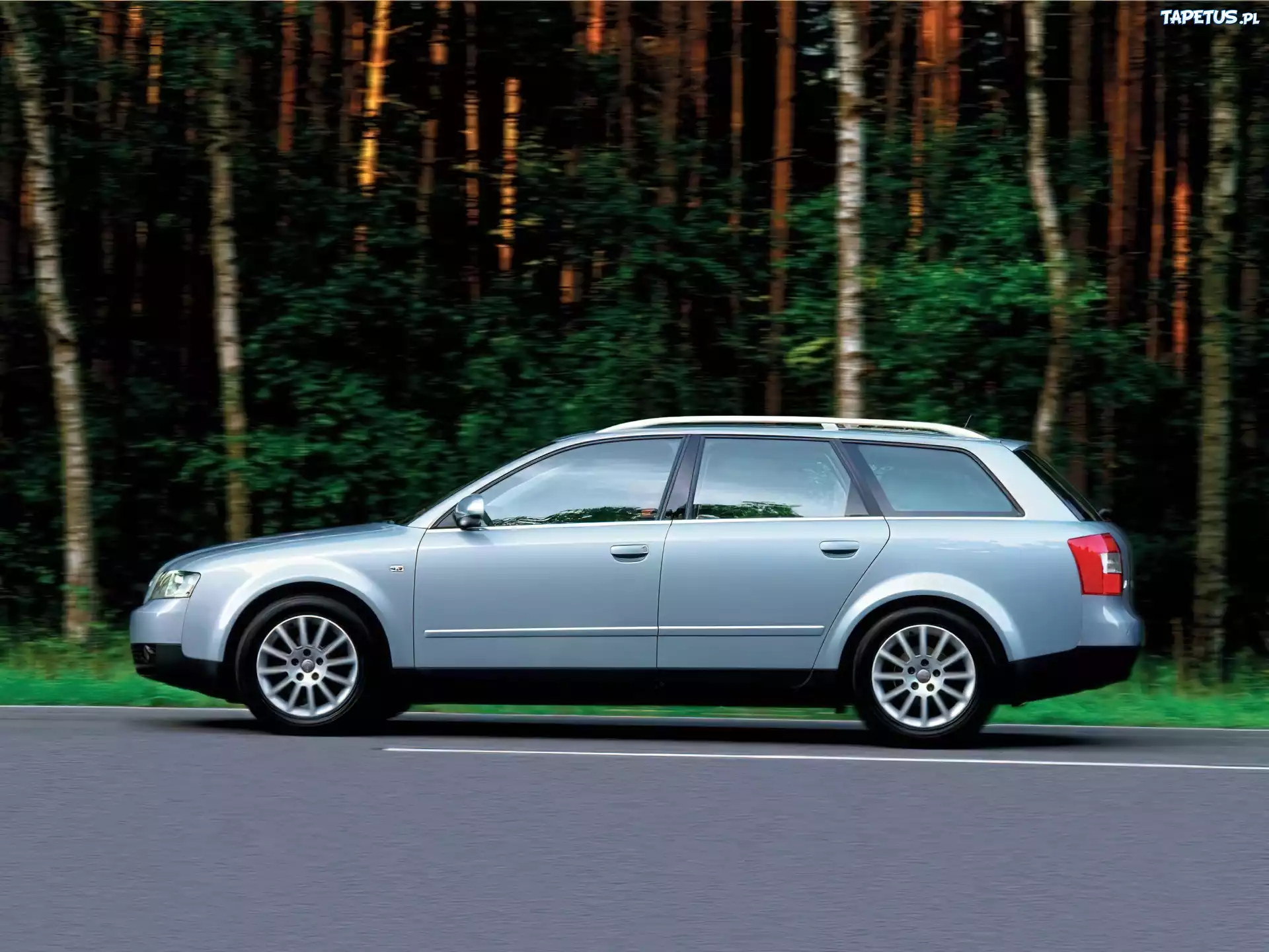 Audi A4, Avant, Lewy Profil, Drzewa