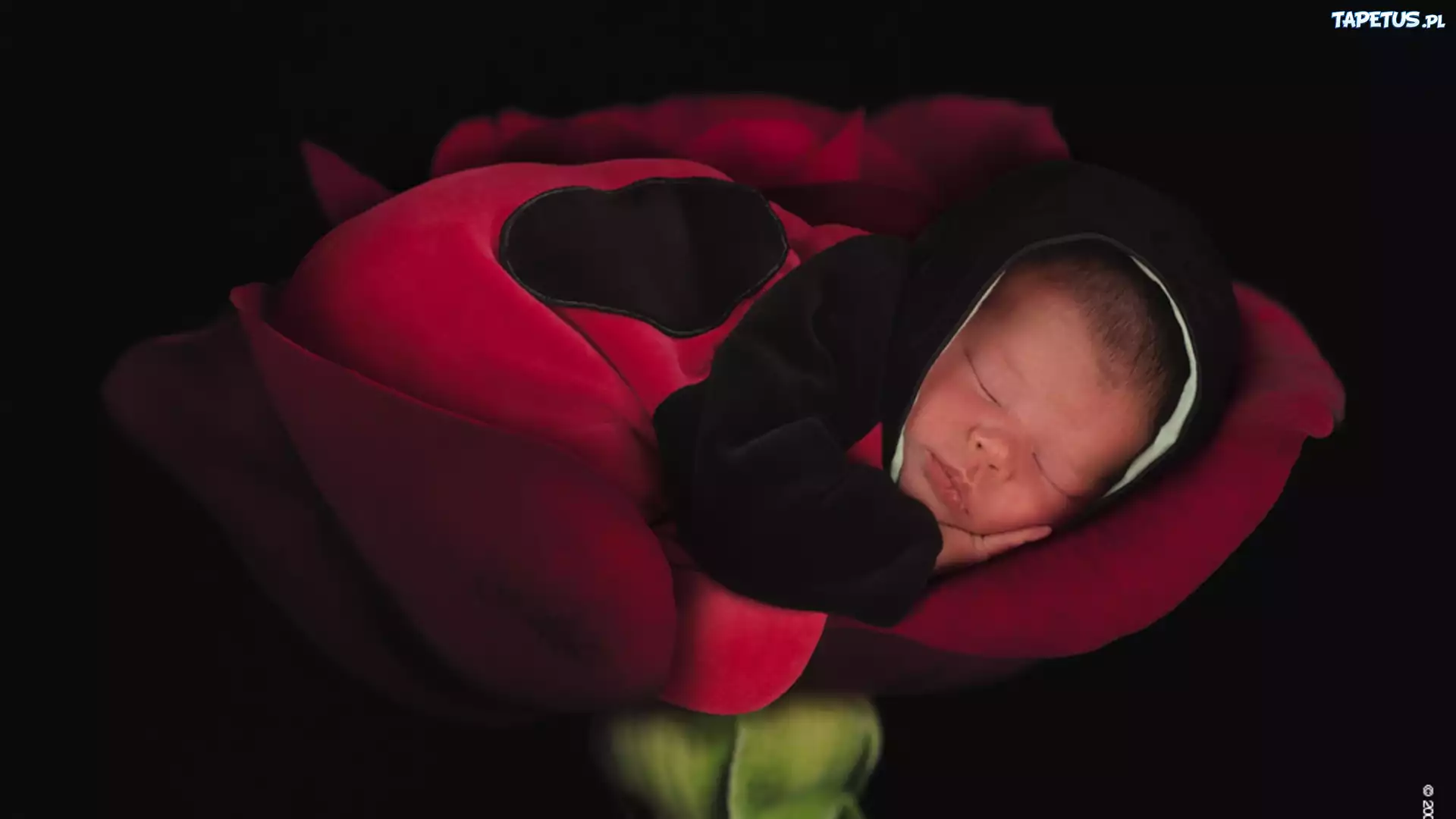 Śpiące, Niemowlę, Biedronka, Anne Geddes