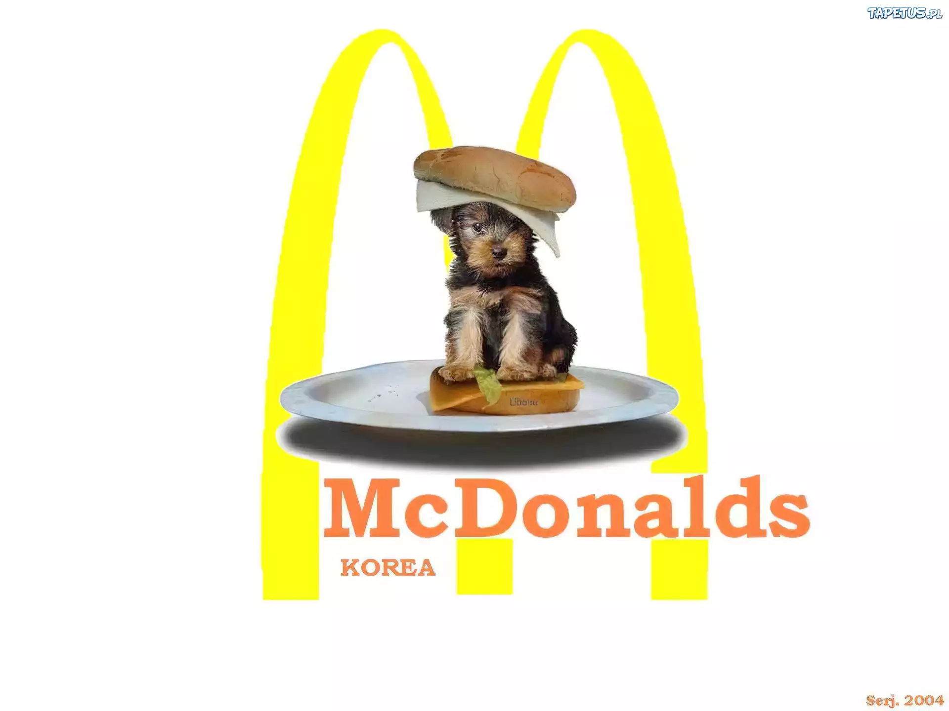 McDonalds, Piesek, Kanapka