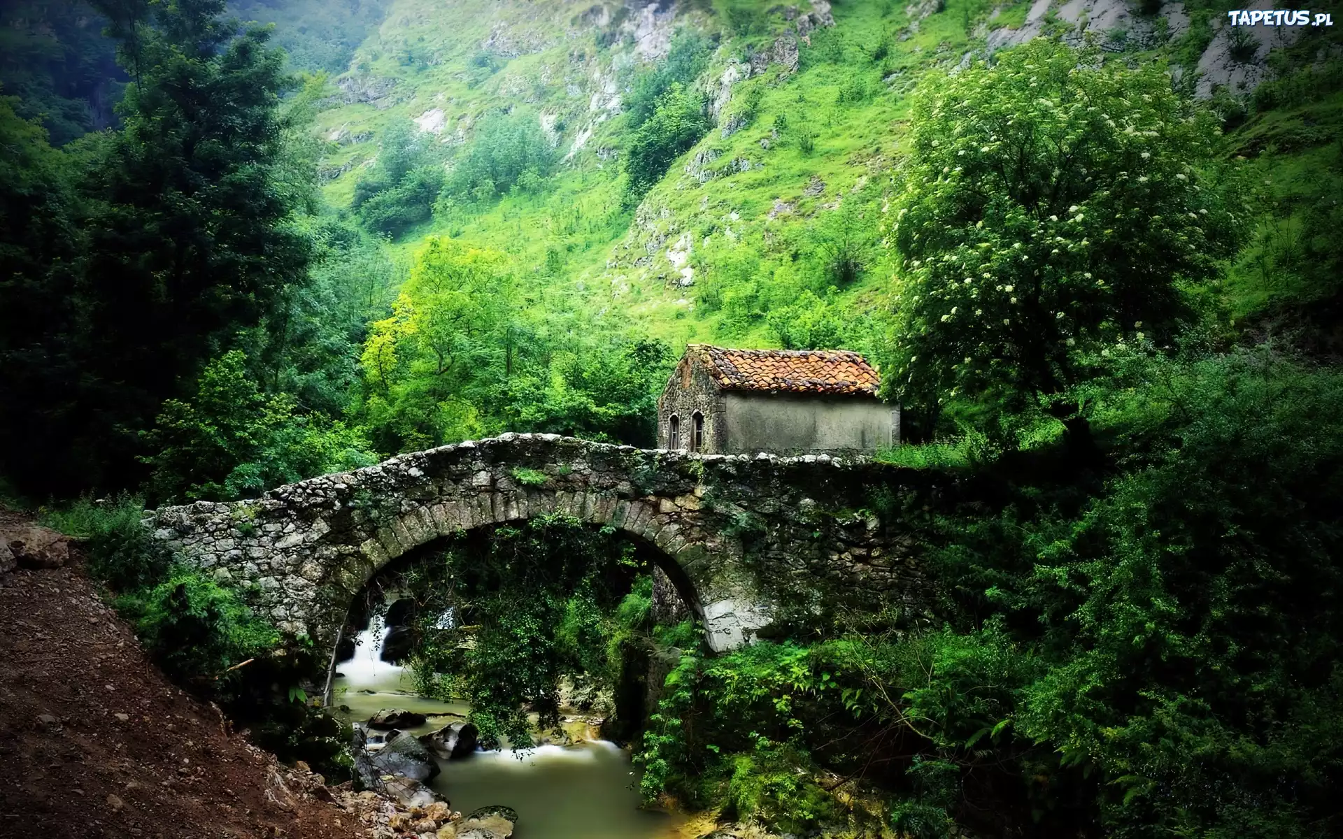 Mostek, Góry, Rzeka, Chatka