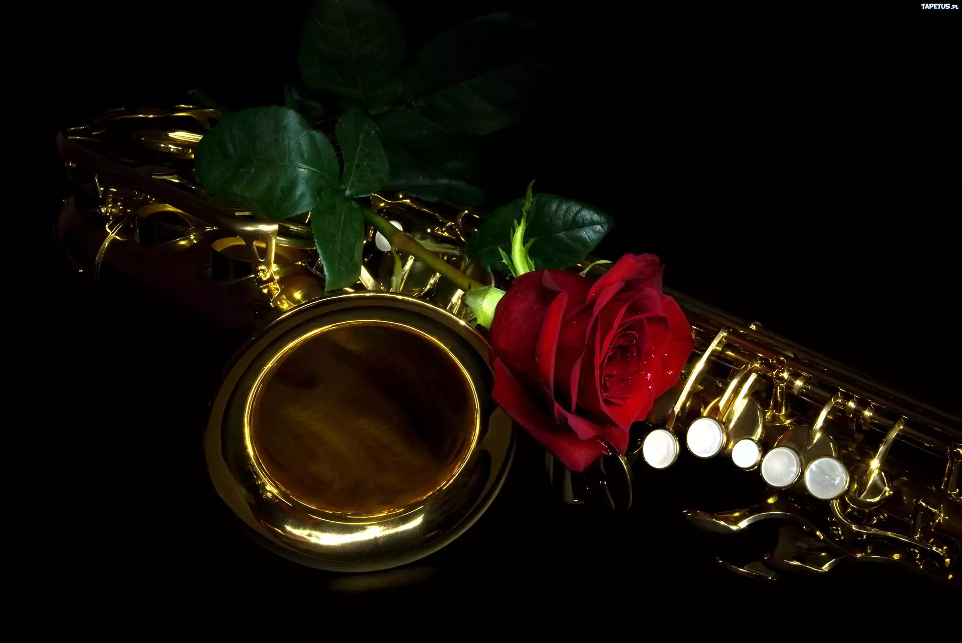 Золотой саксофон для души. Саксофон. Цветы саксофонисту. Саксофон и розы. Музыкальный вечер саксофон.