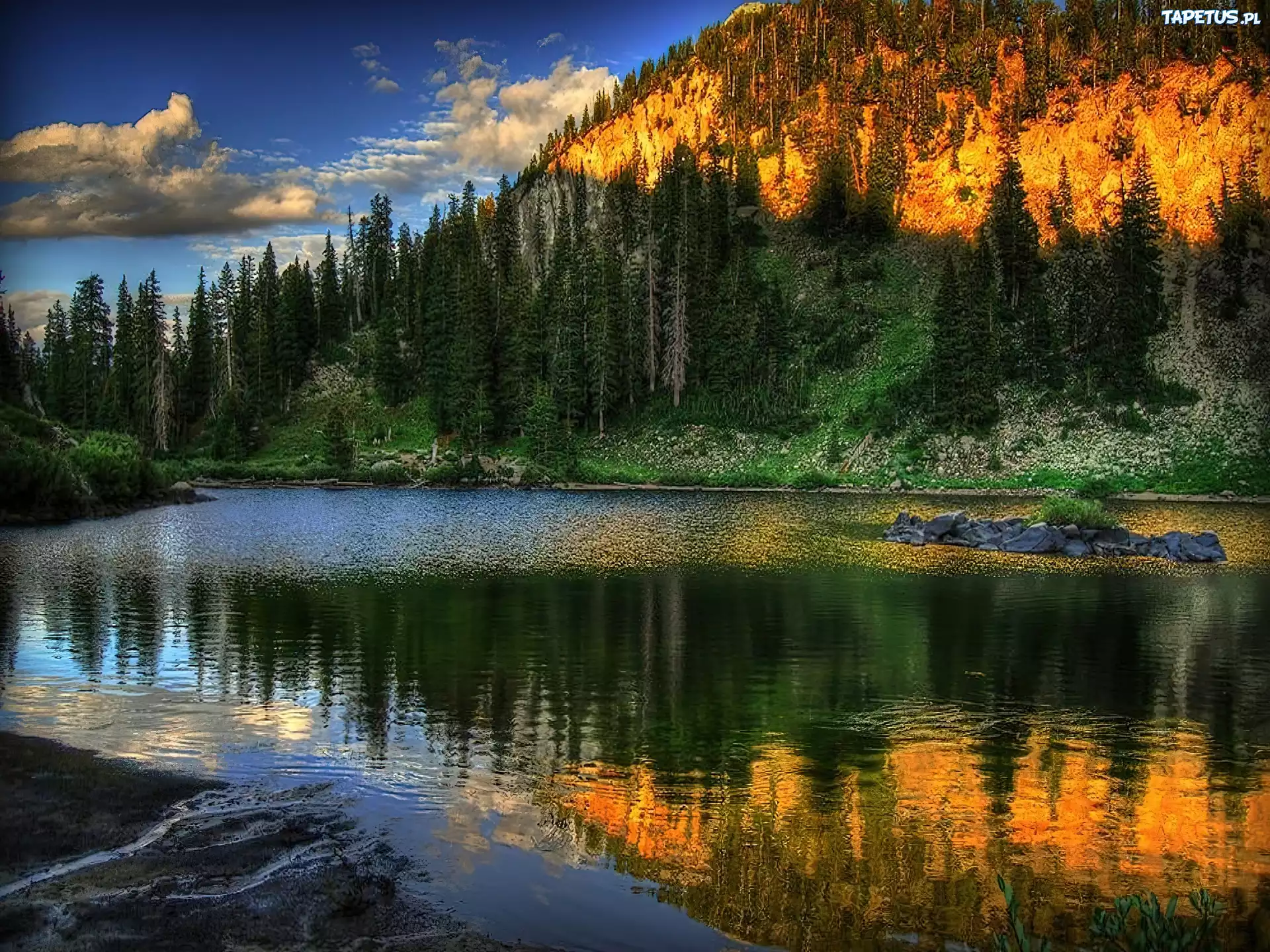 Las, Jezioro