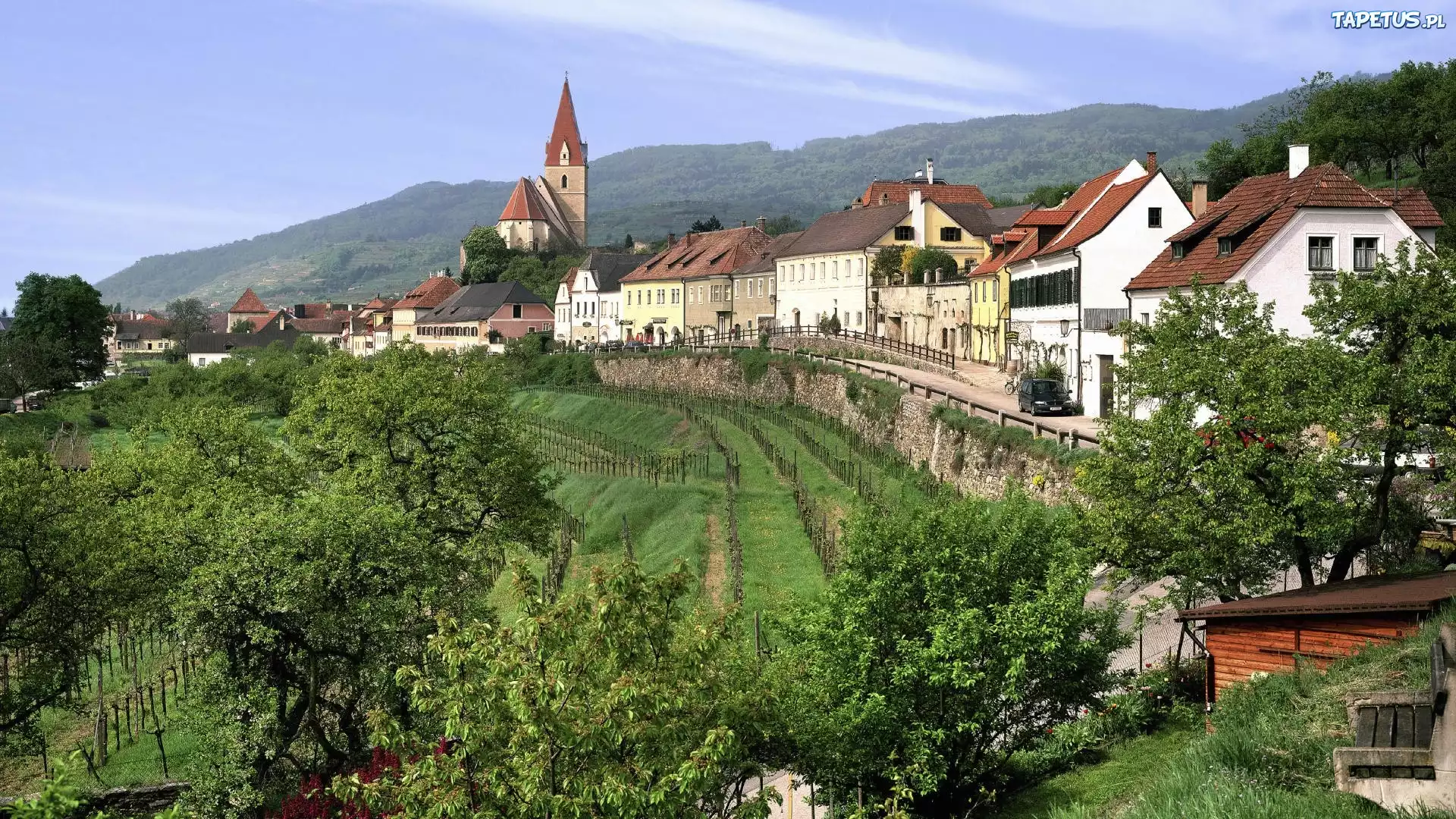 Kościół, Domy, Drzewa, Trawy, Austria
