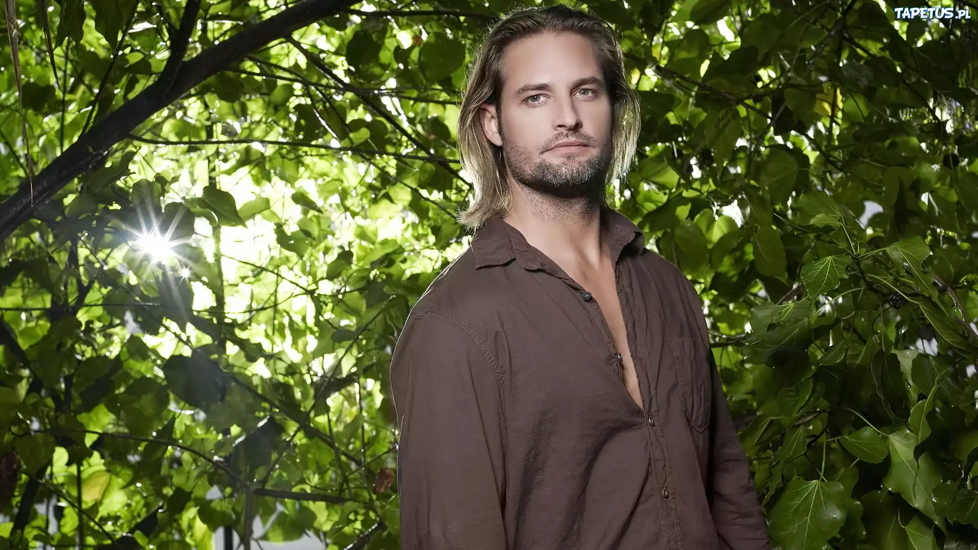Josh Holloway