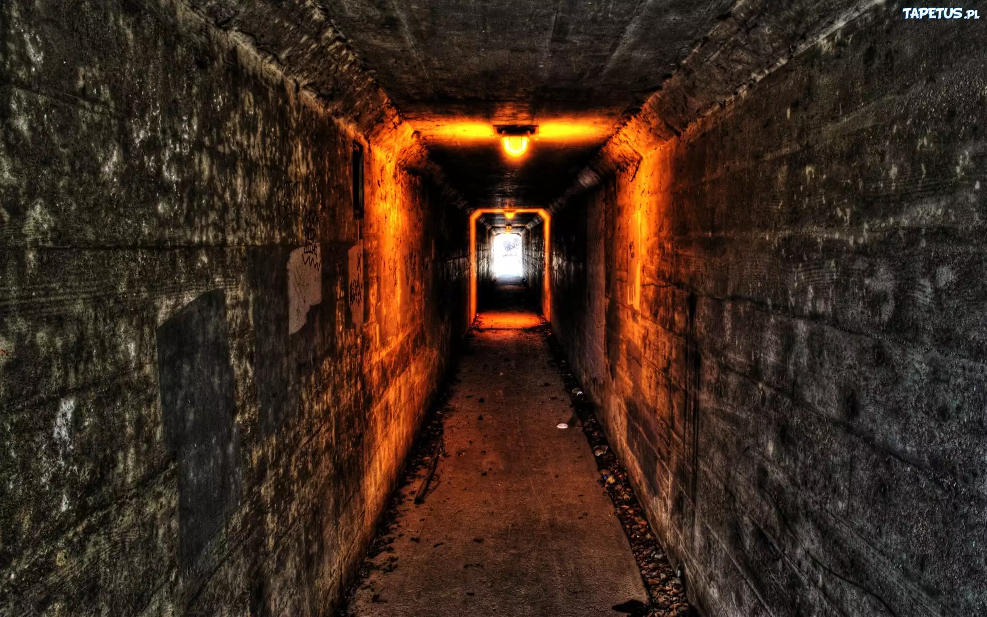 Piwnica, Światła, Tunel