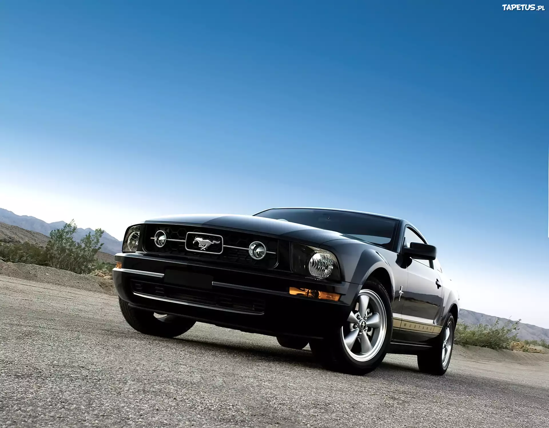 Ford Mustang V6, Pony, Package