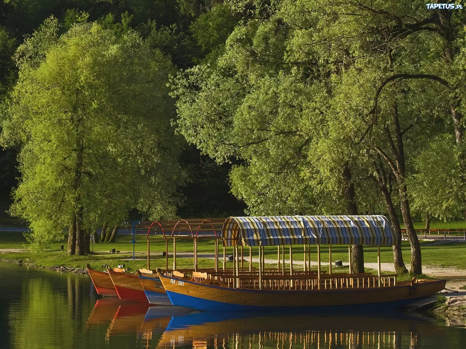 Park, Jezioro, Łodzie