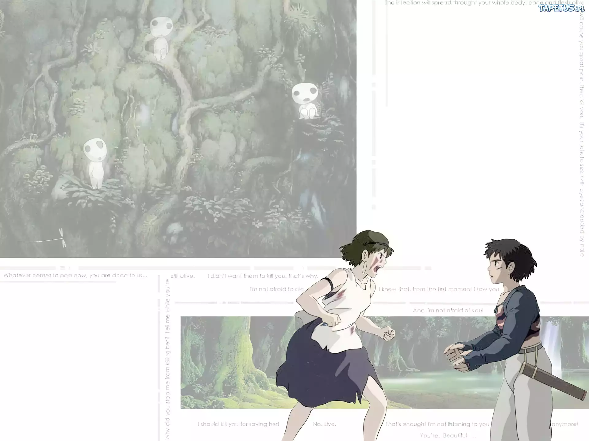 Mononoke Hime, las, kłótnia
