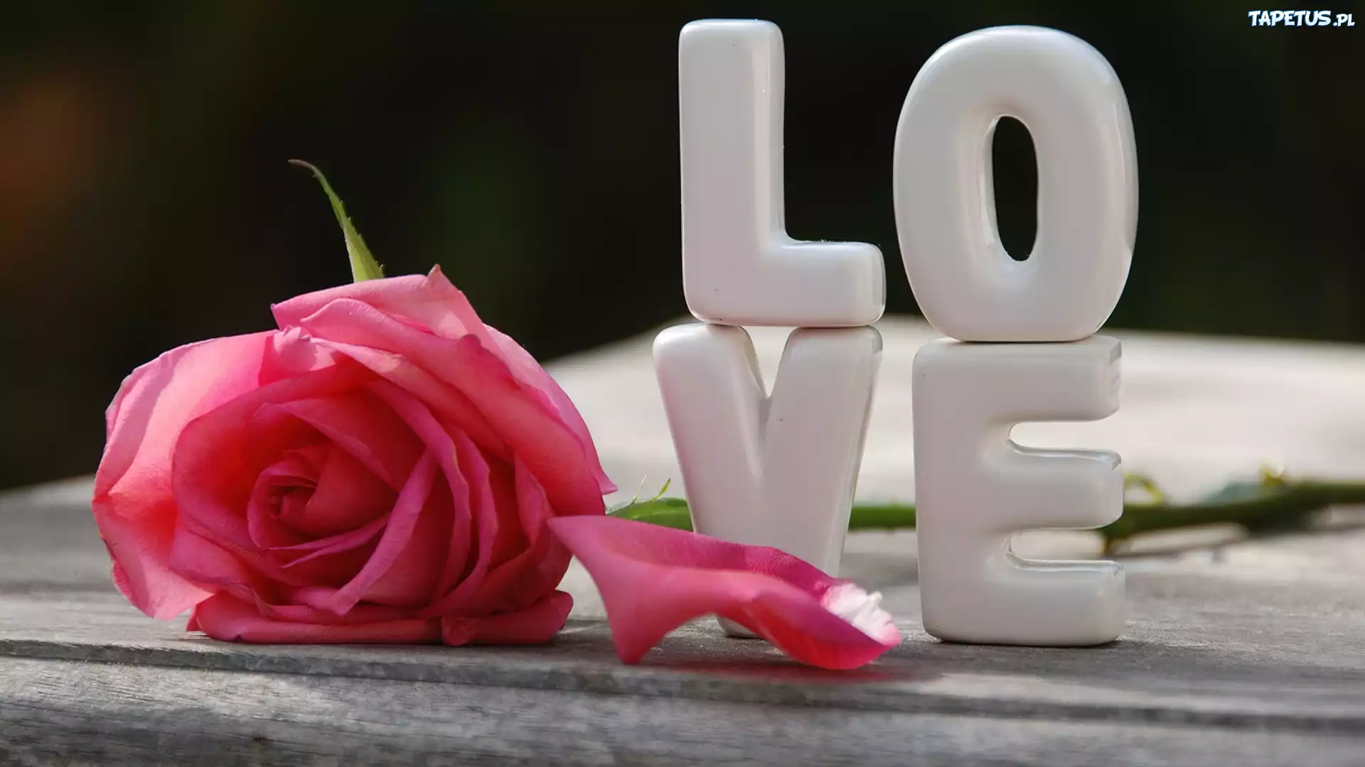 Różowa, Róża, Literki, Love