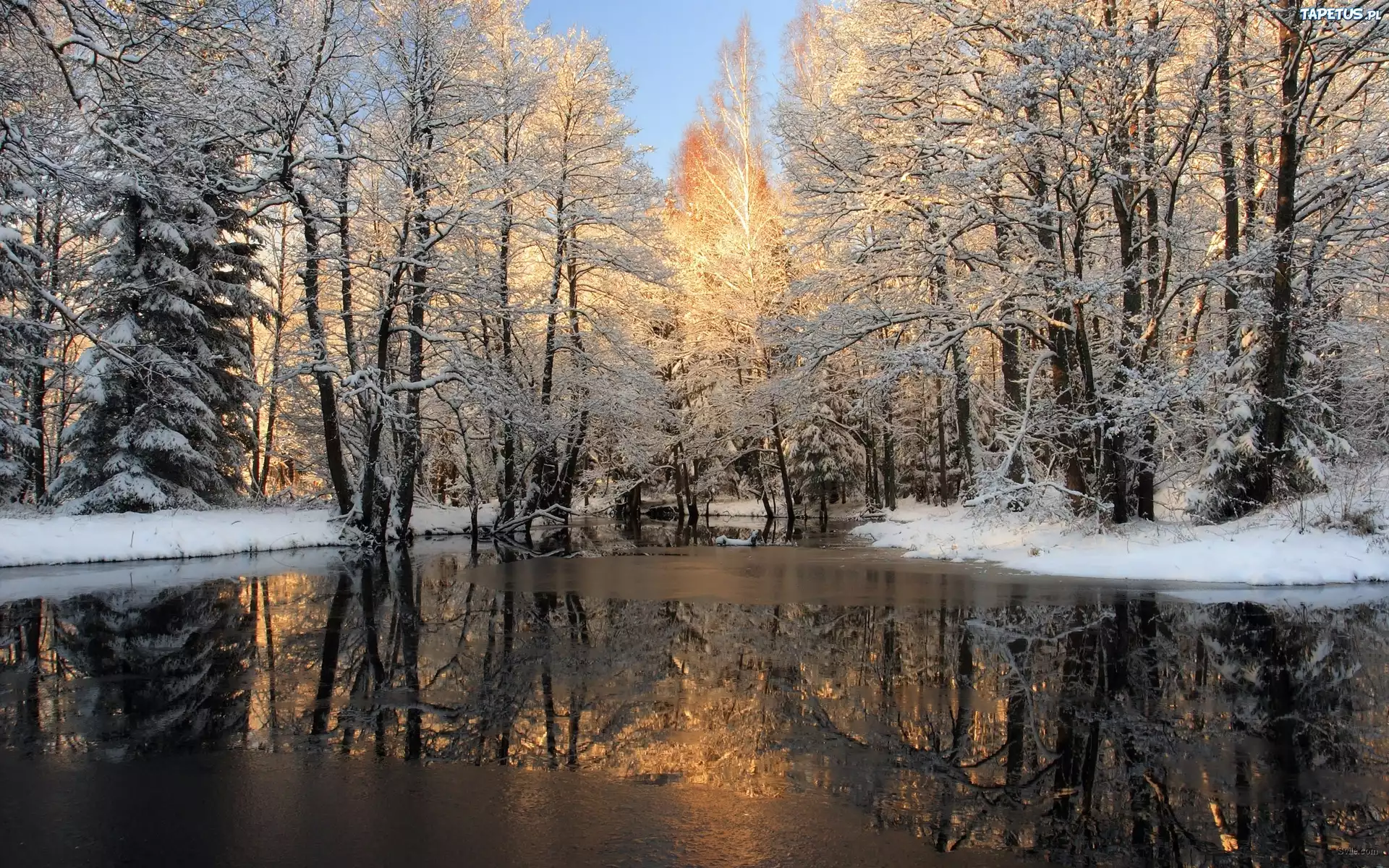 Rzeka, Śnieg, Drzewa