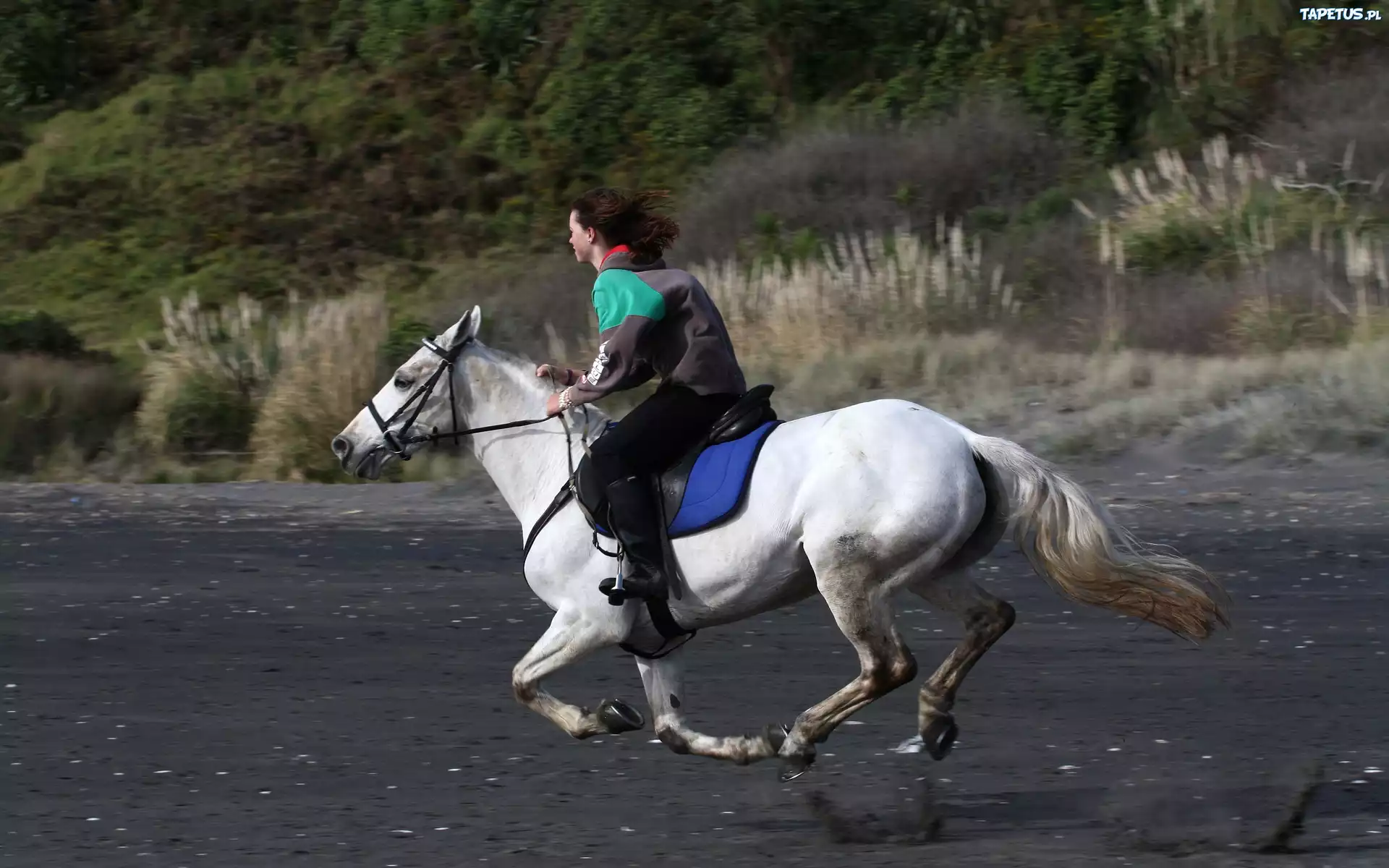 Koń, Kobieta, Galop