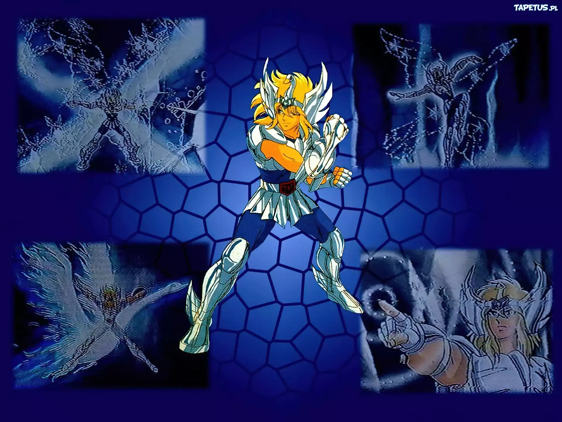 Saint Seiya, ludzie, wojownik