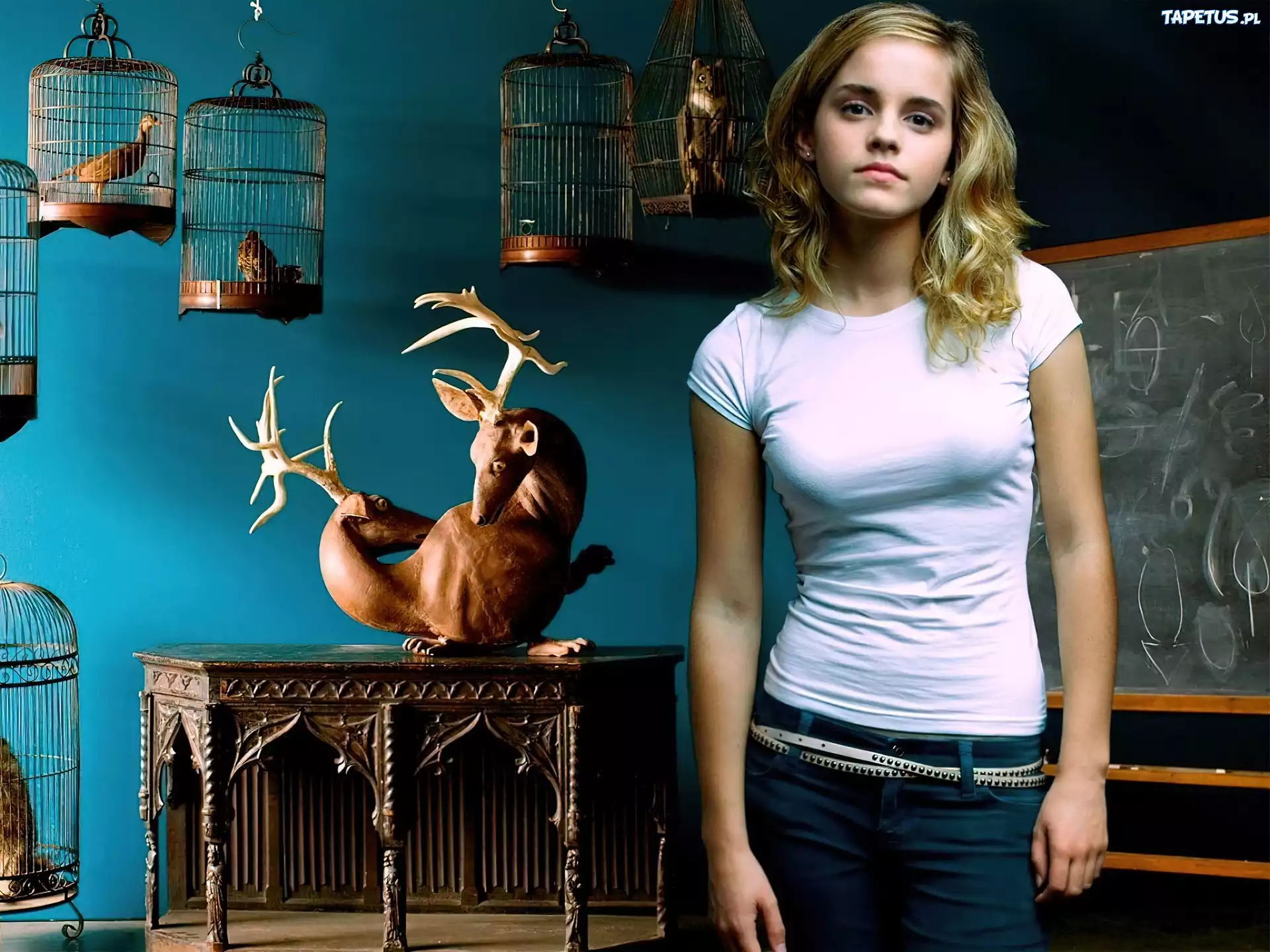 Emma Watson, Tablica, Klatki