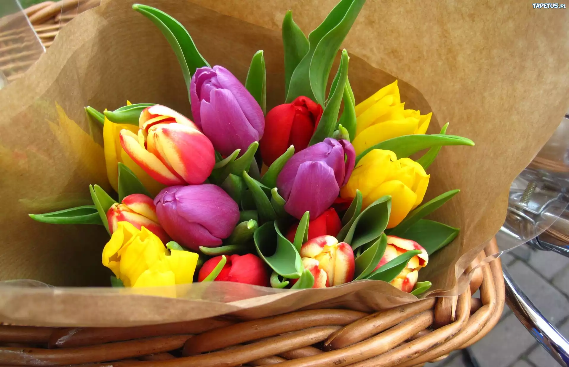 Tulipany, Koszyk