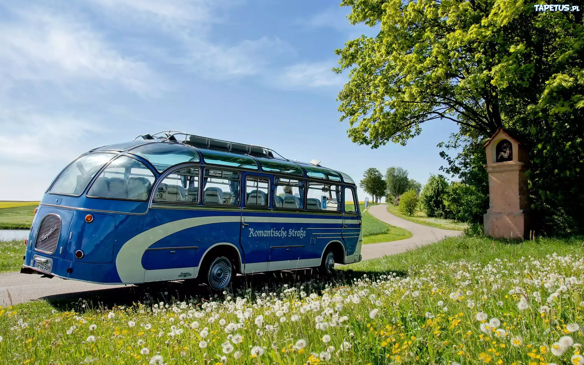 Autobus, Droga, Łąka, Kapliczka