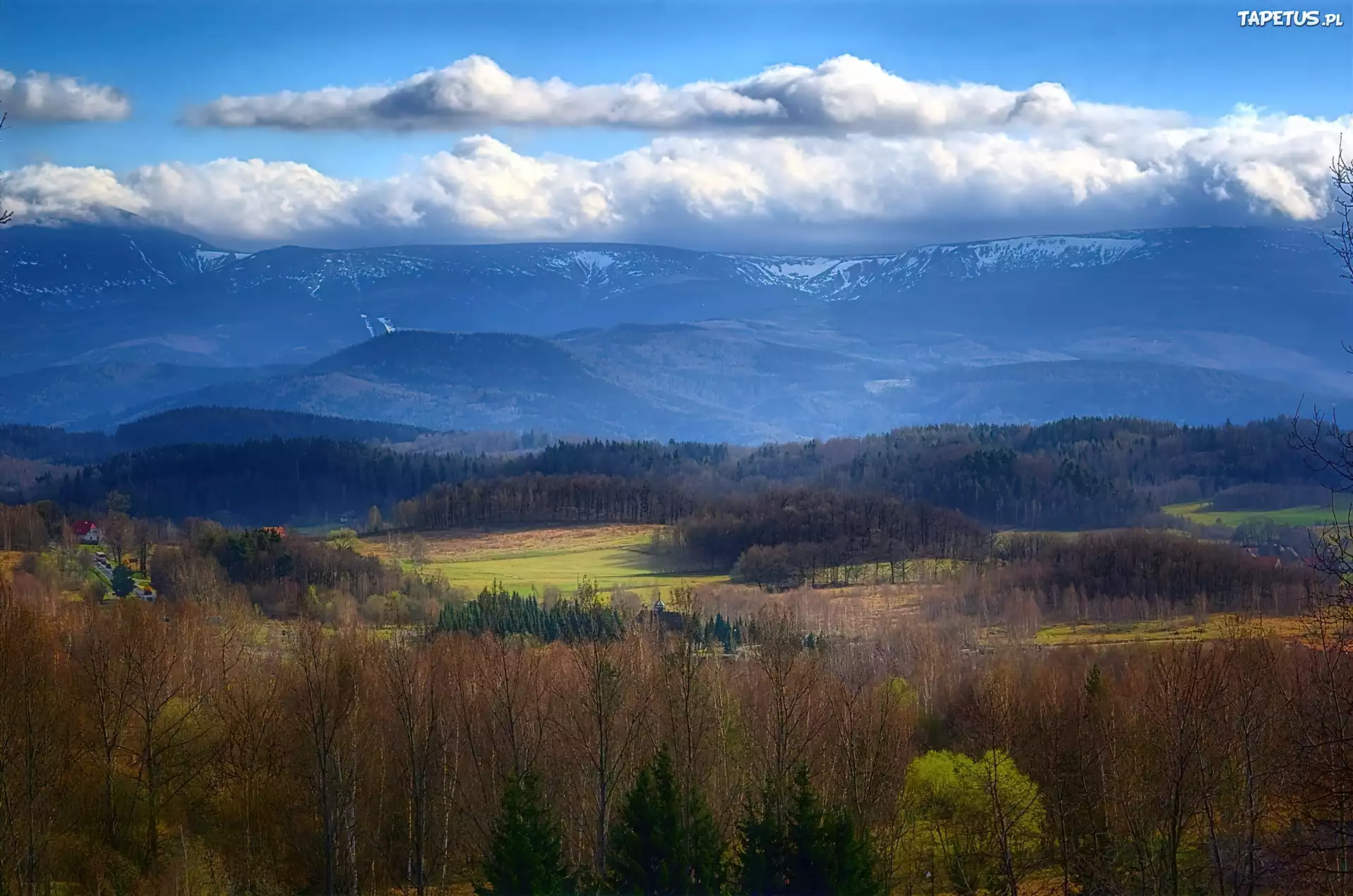 Góry, Chmury, Szczyty, Śnieg, Las, Drzewa