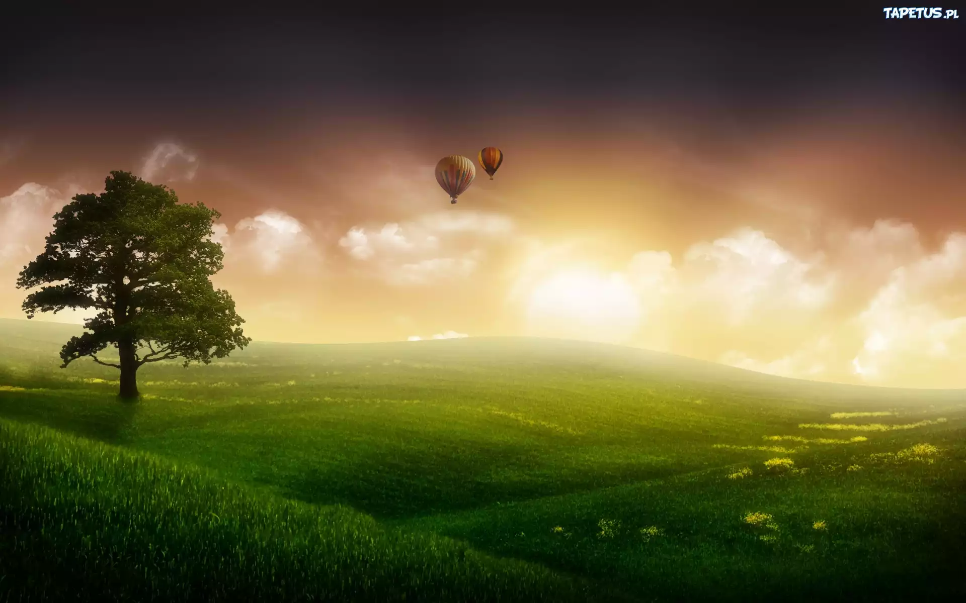 Łąka, Słońce, Balony