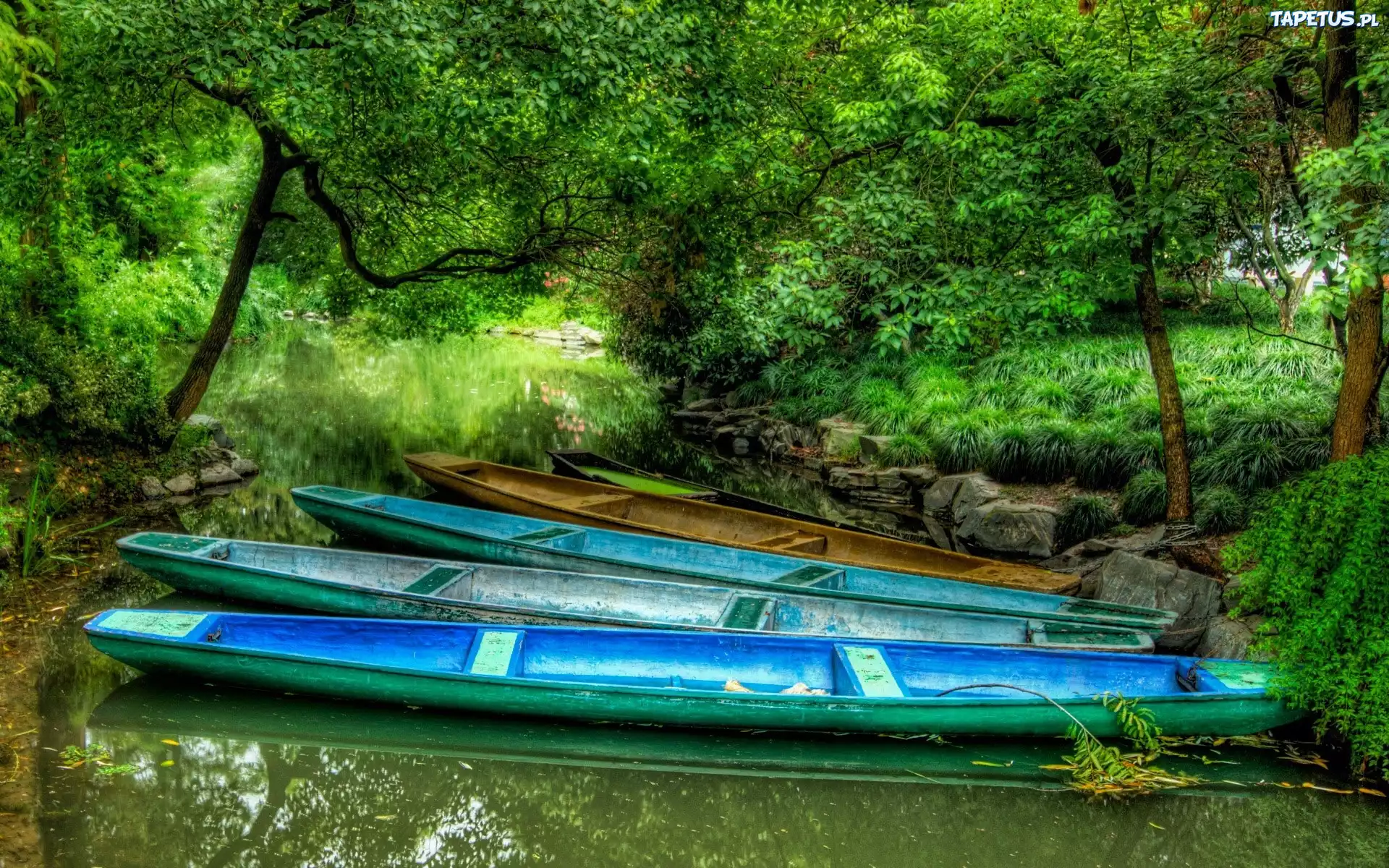 природа лодка река трава без смс