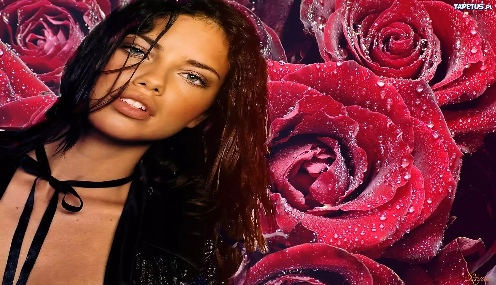 Adriana Lima, Czerwone, Róże, Krople, Wody